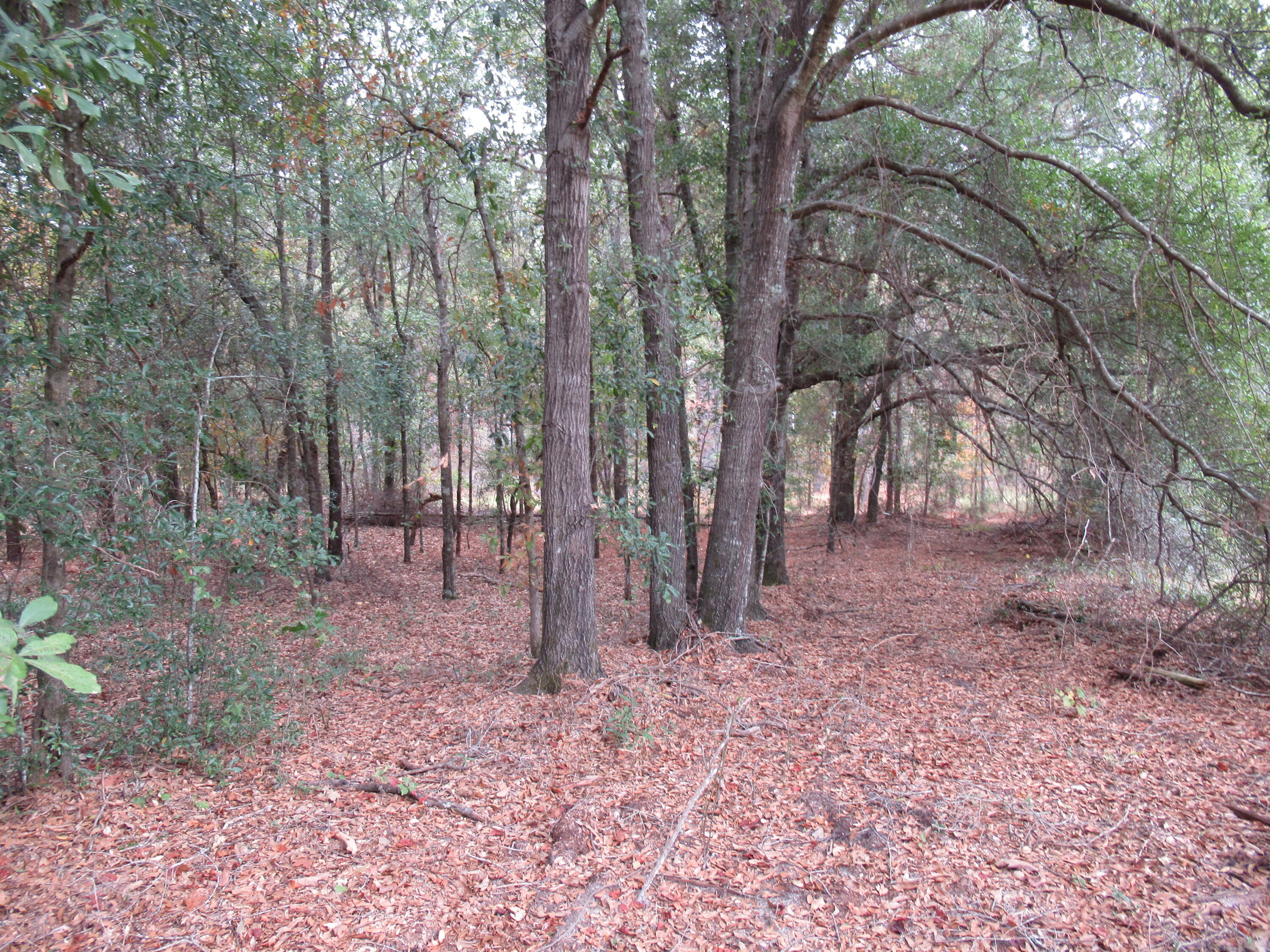 0 TWIN PINES RD., Keysville, GA, 30816