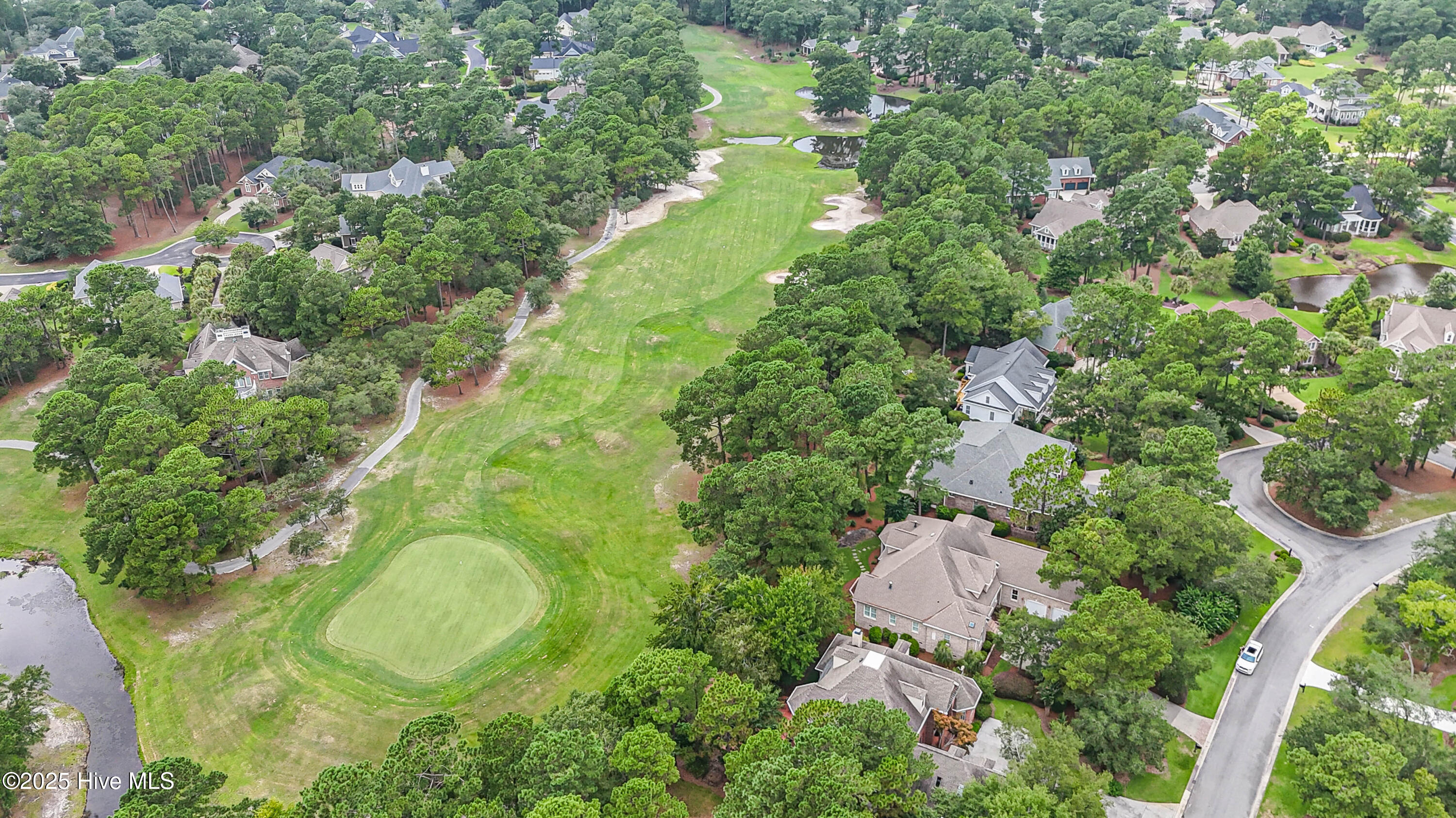 100549675 | Photo 62