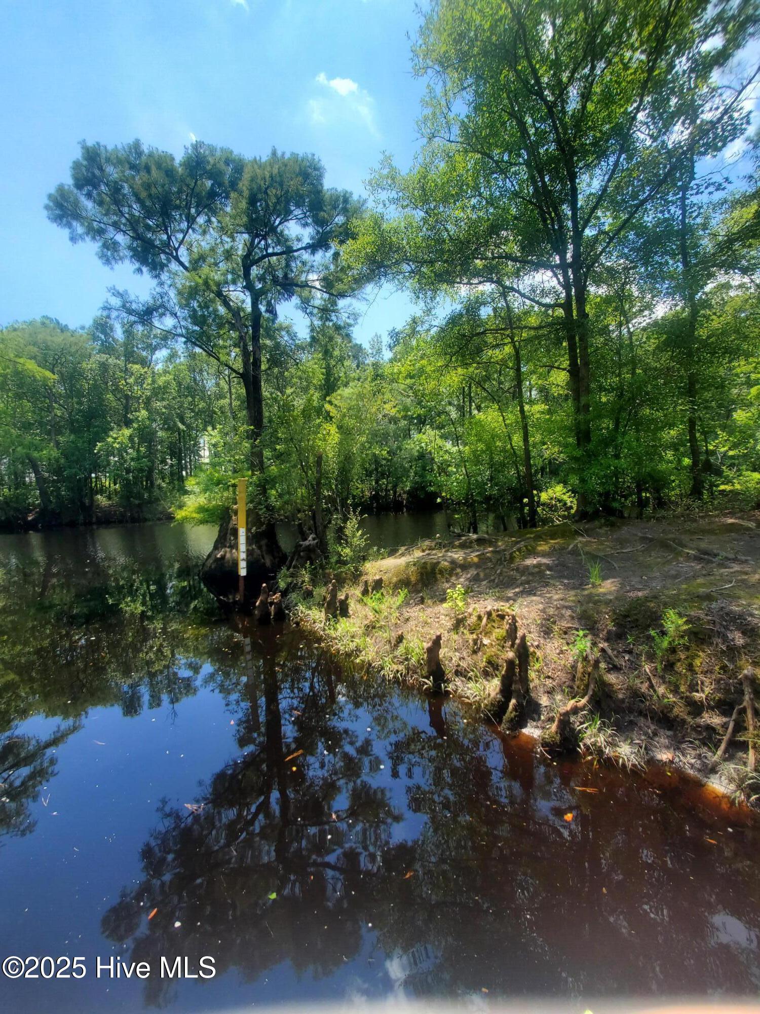 Homes for sale in Burgaw, NC | 12374 Shaw Hwy, Burgaw, NC 28425 | MLS# 100521469