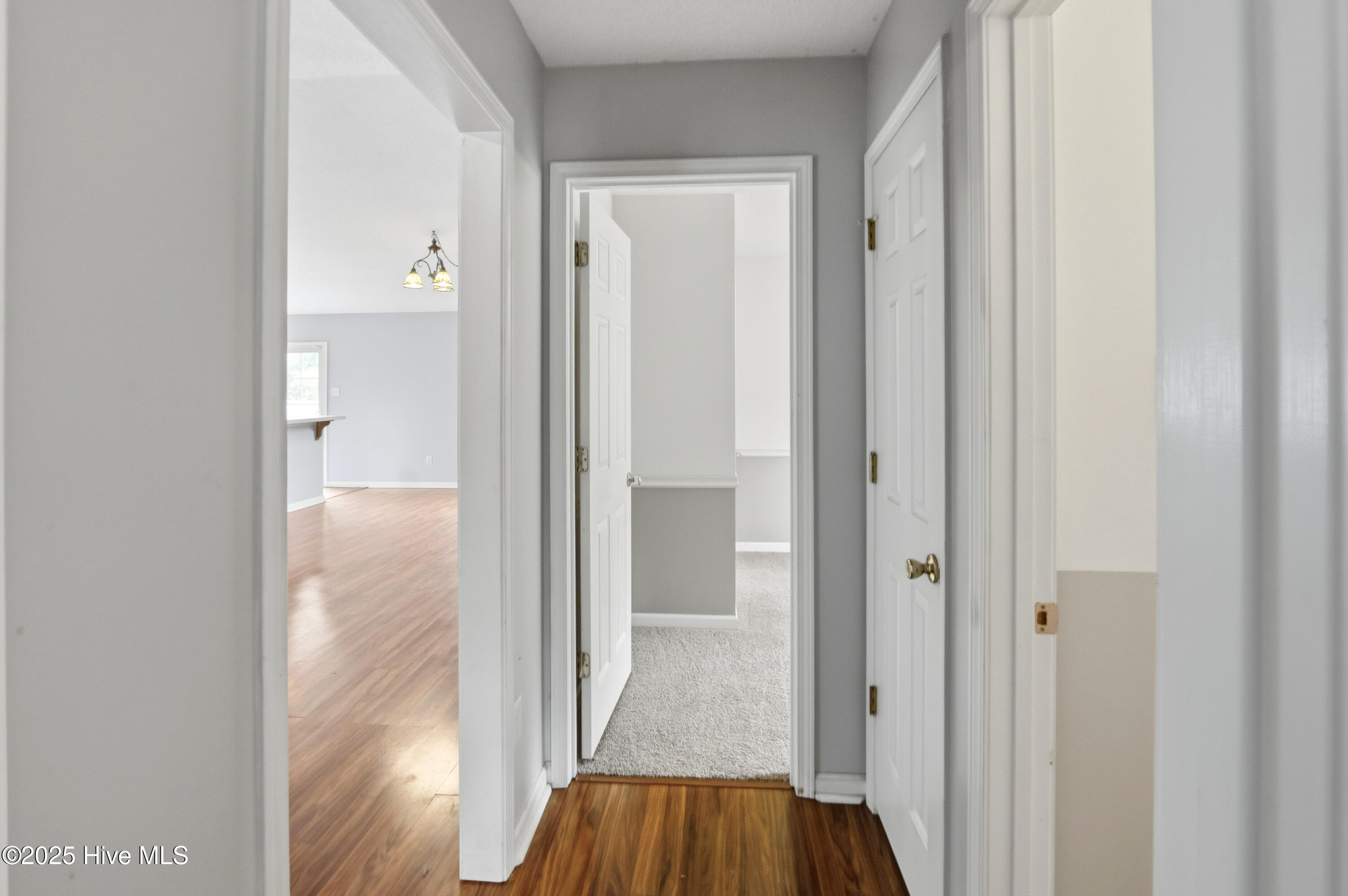 100531186 | Photo 26