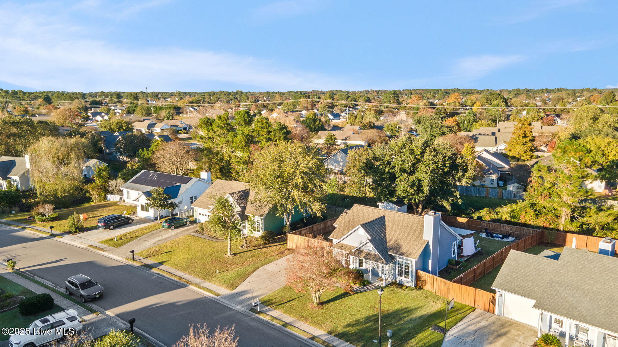 100539678 | Photo 45