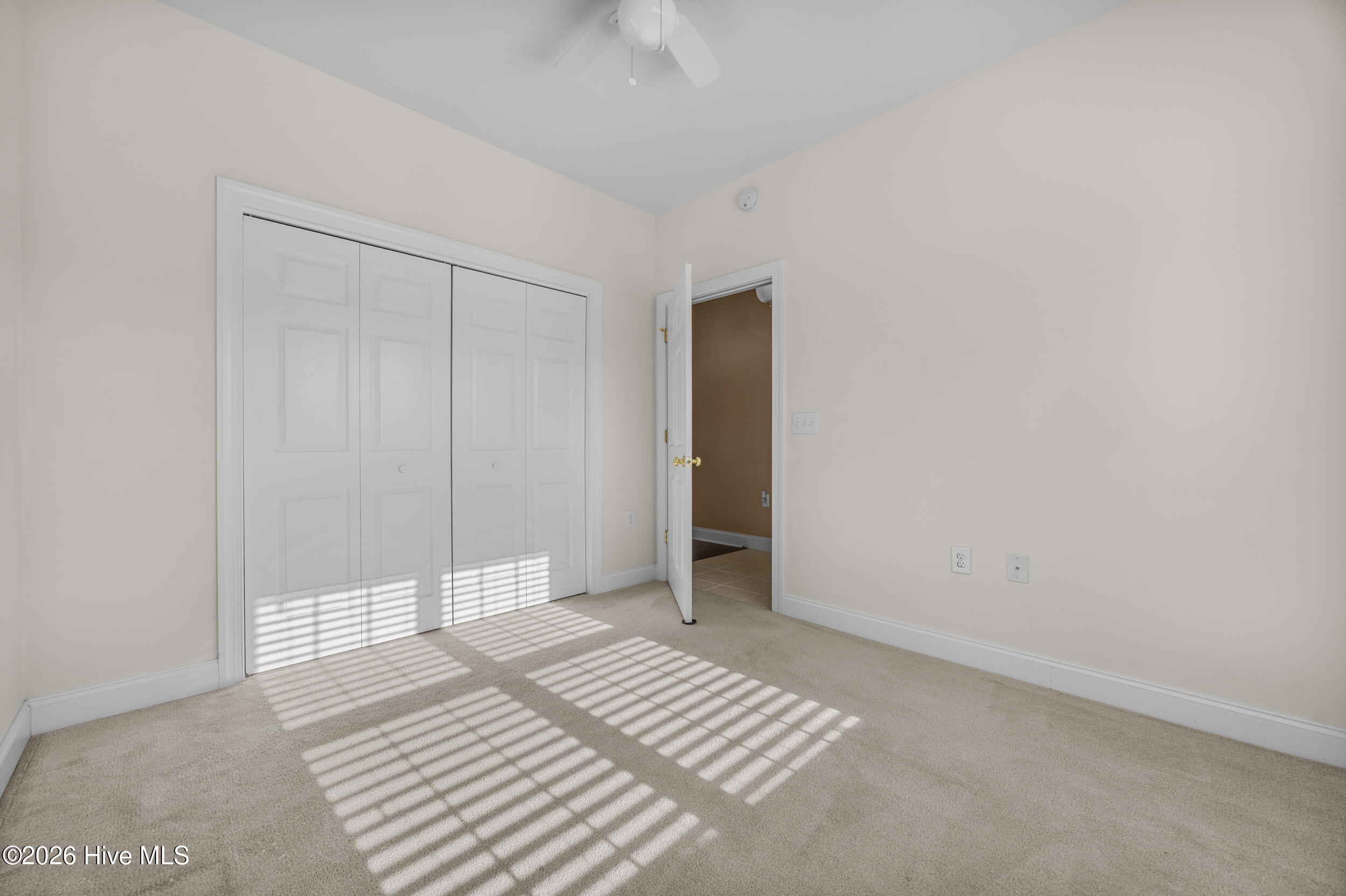 100552325 | Photo 32