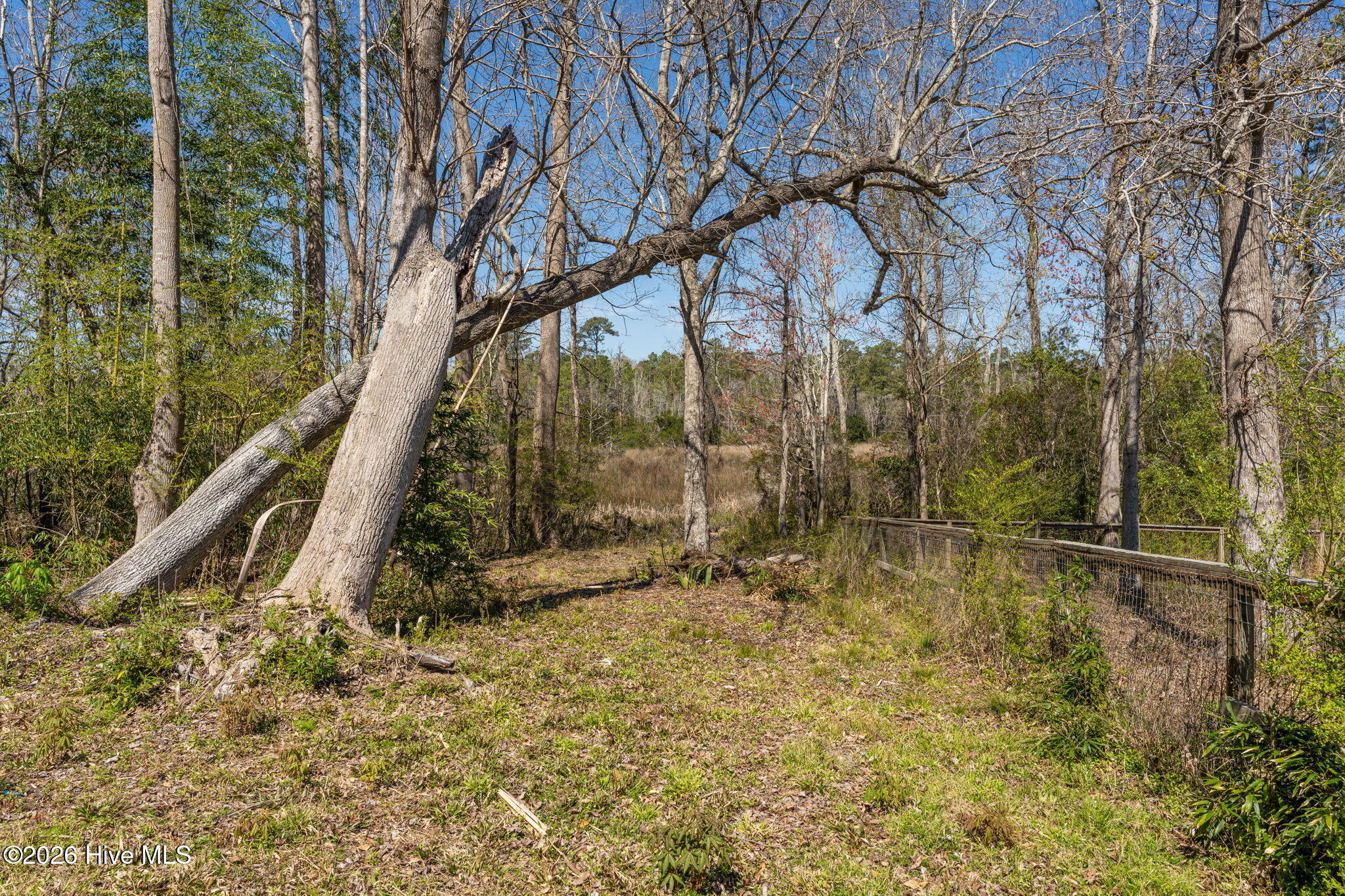 100552056 | Photo 112