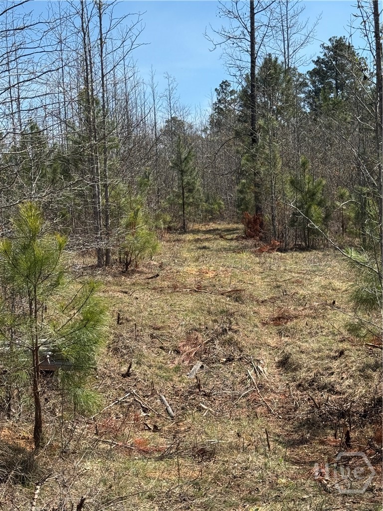 738 Old Mineral Springs Road, Elberton, GA, 30635