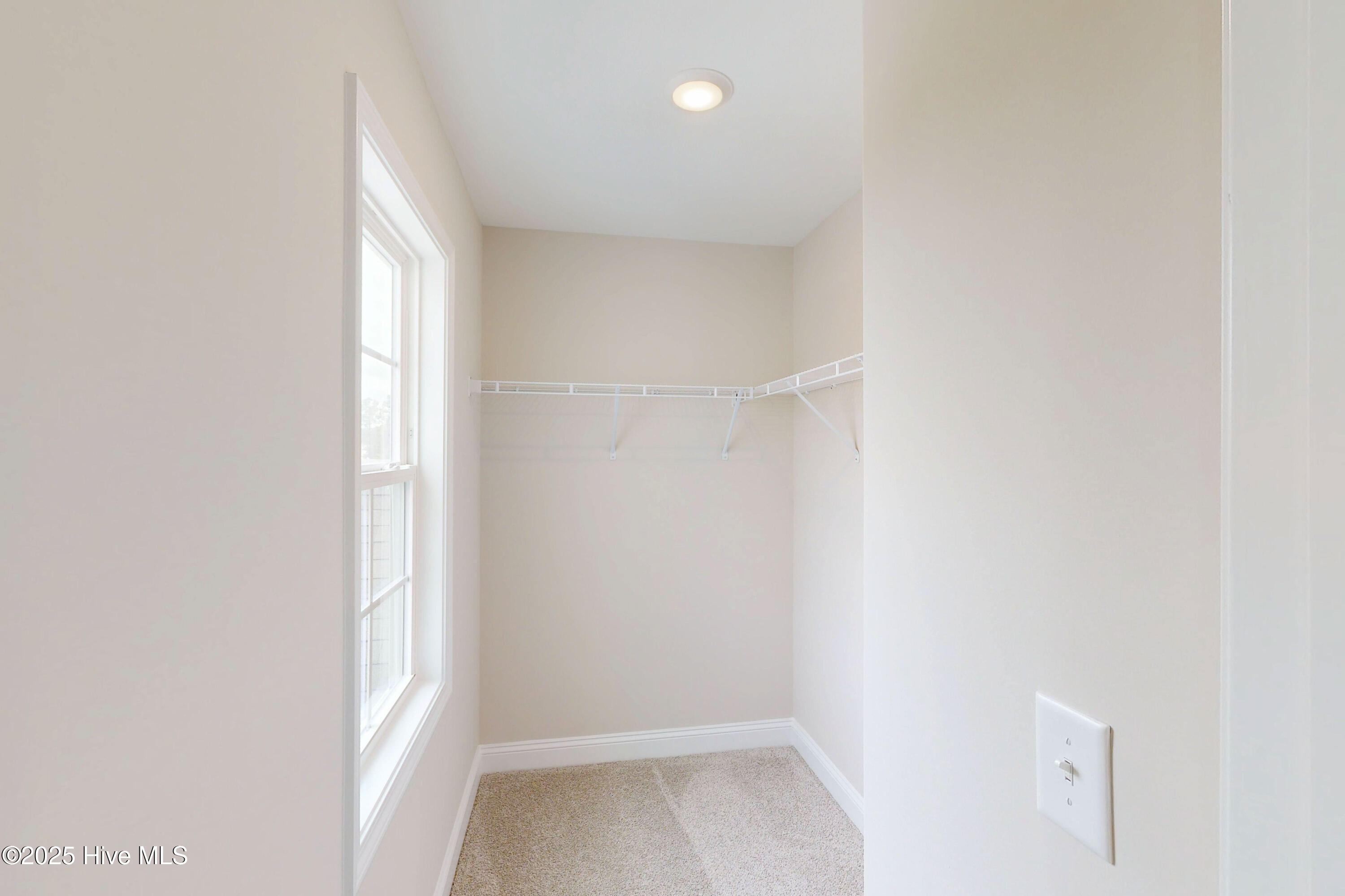 100493015 | Photo 14