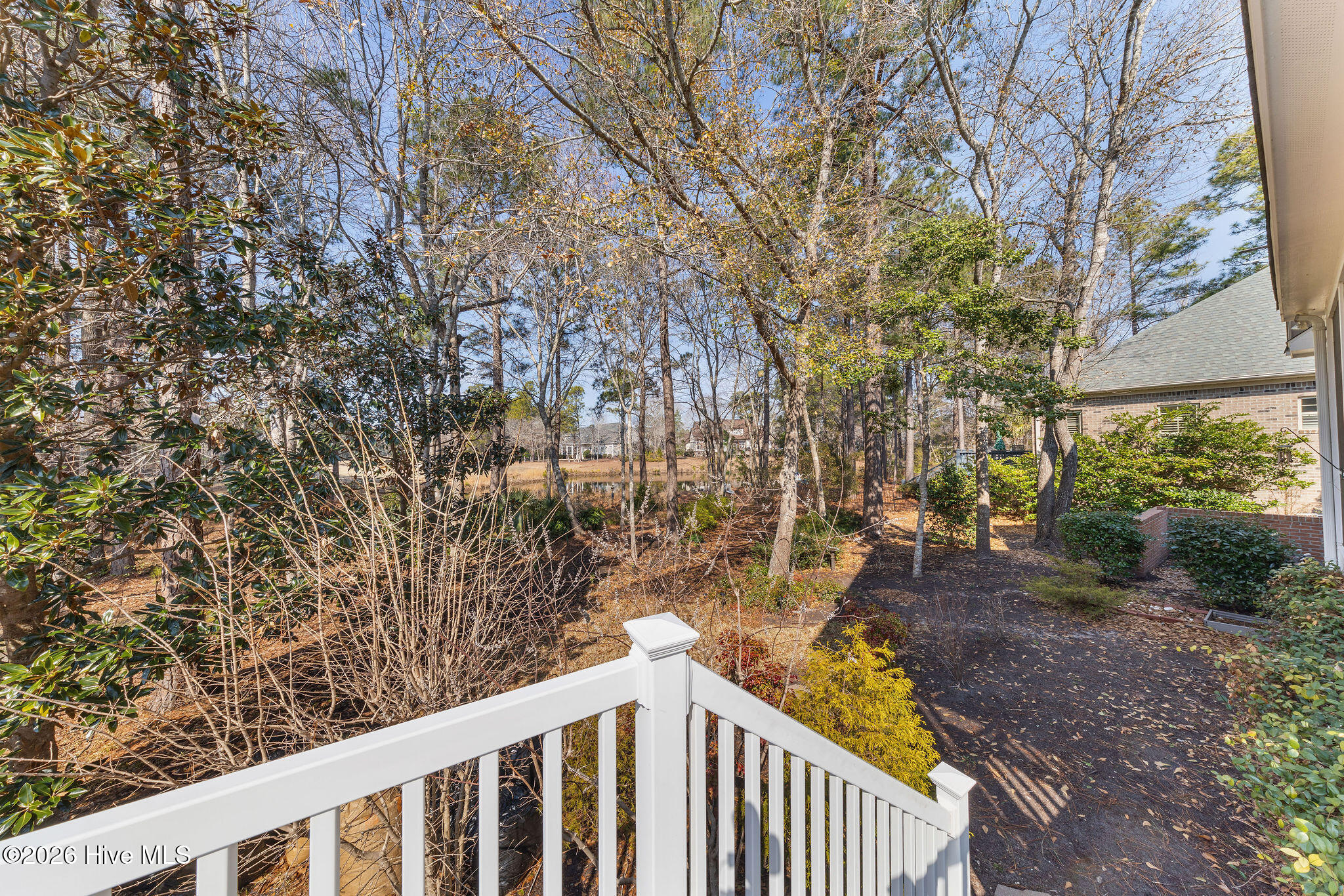 100557018 | Photo 19