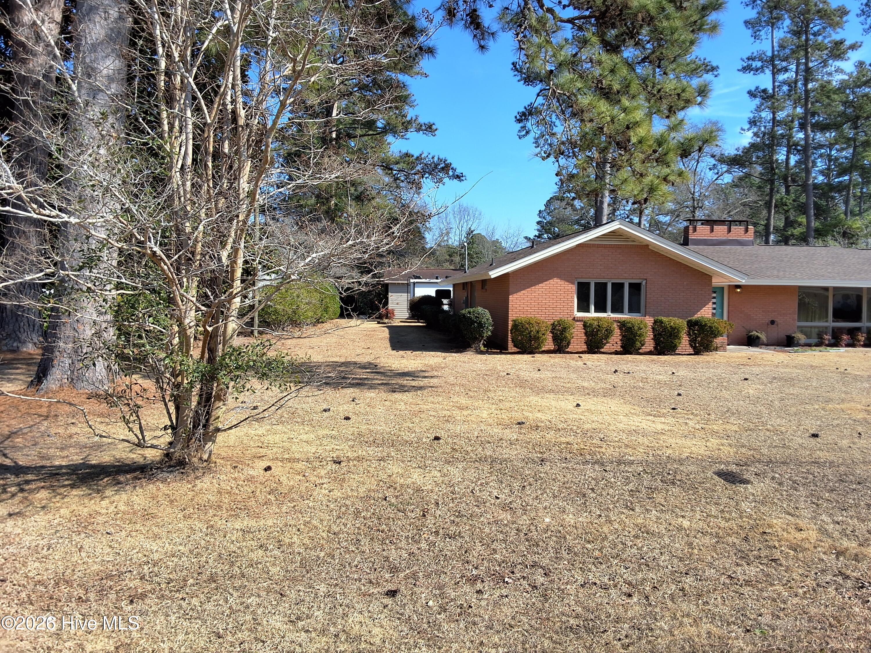 100554569 | Photo 87