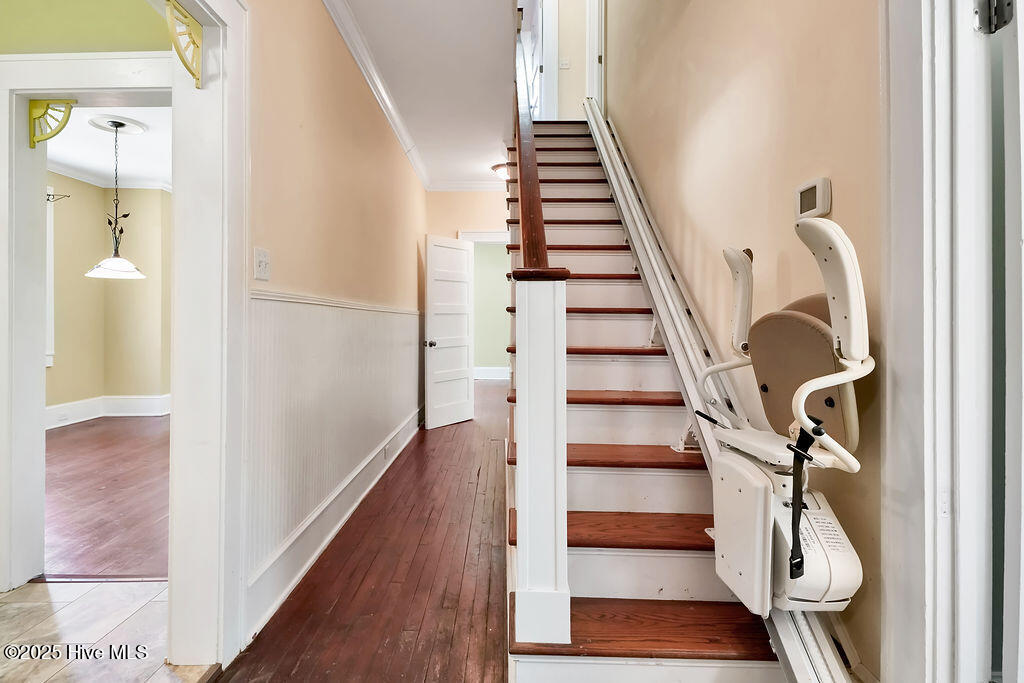 100538135 | Photo 26