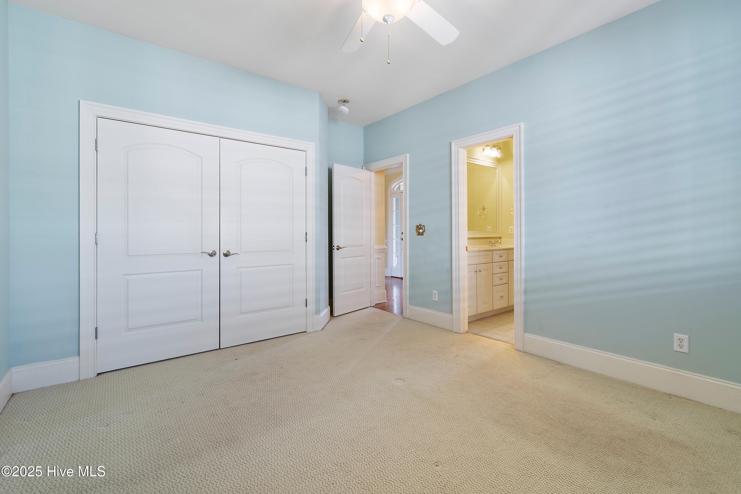 100504697 | Photo 23