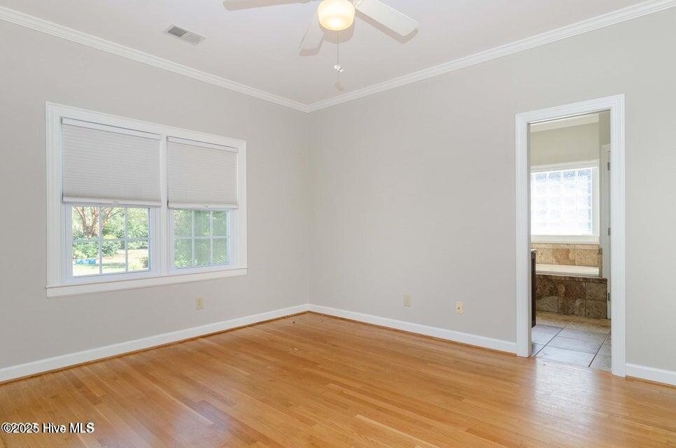 100546569 | Photo 32