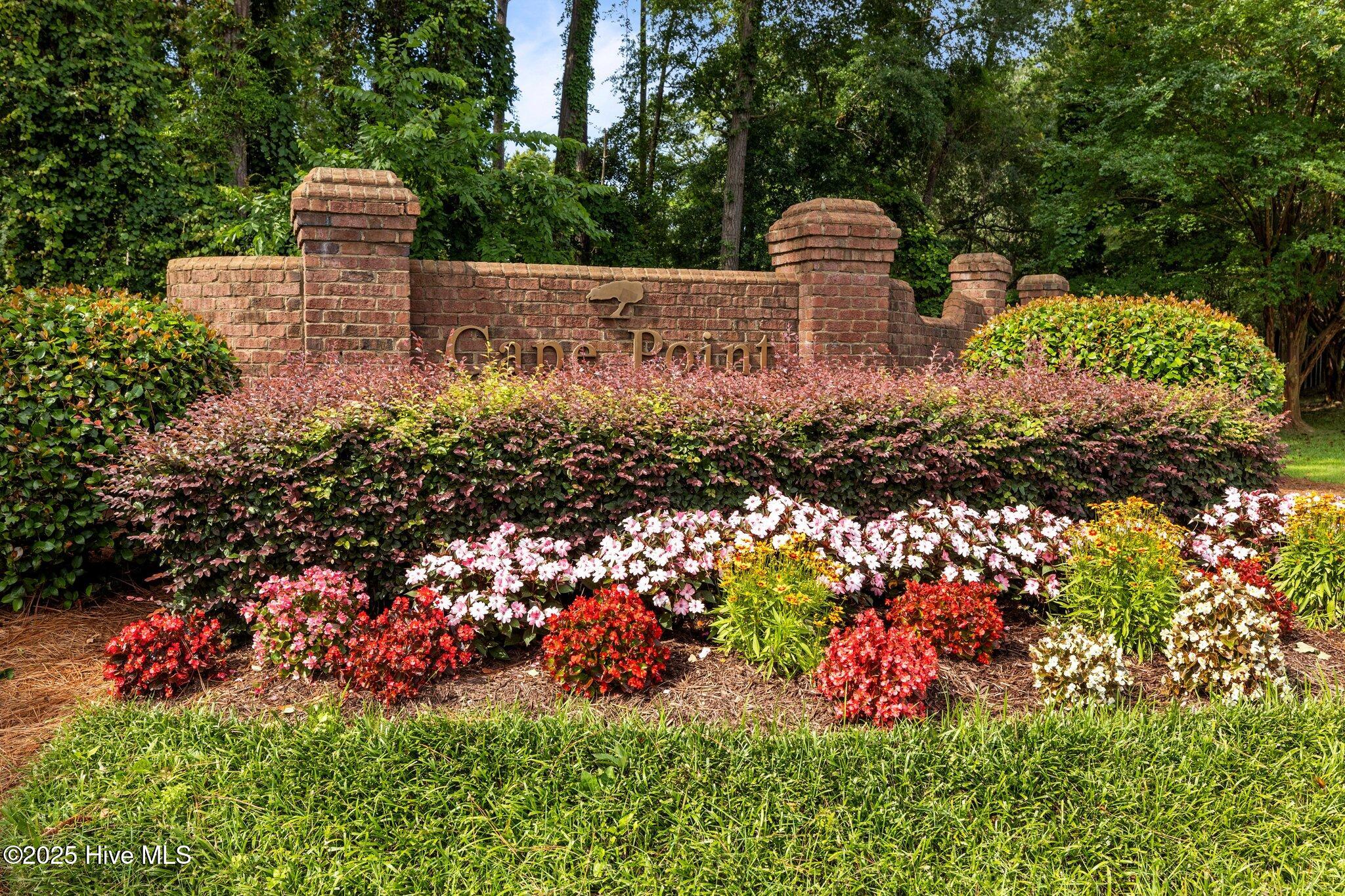 100558486 | Photo 25