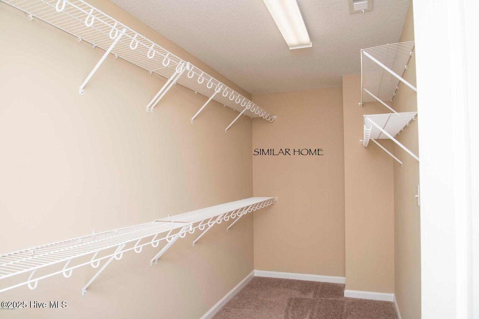 100542991 | Photo 15