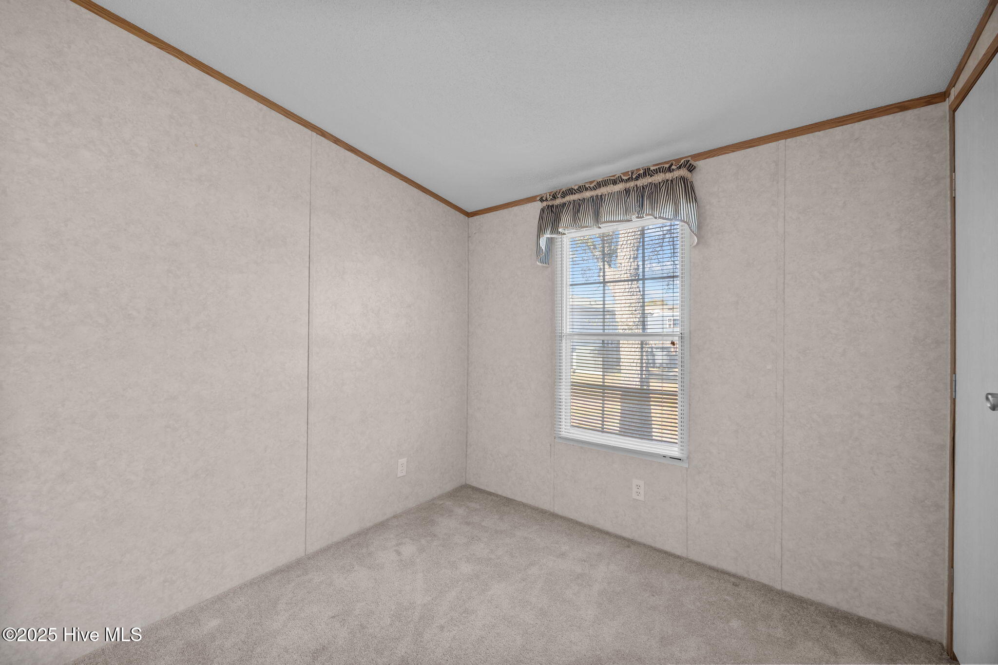 100545328 | Photo 26