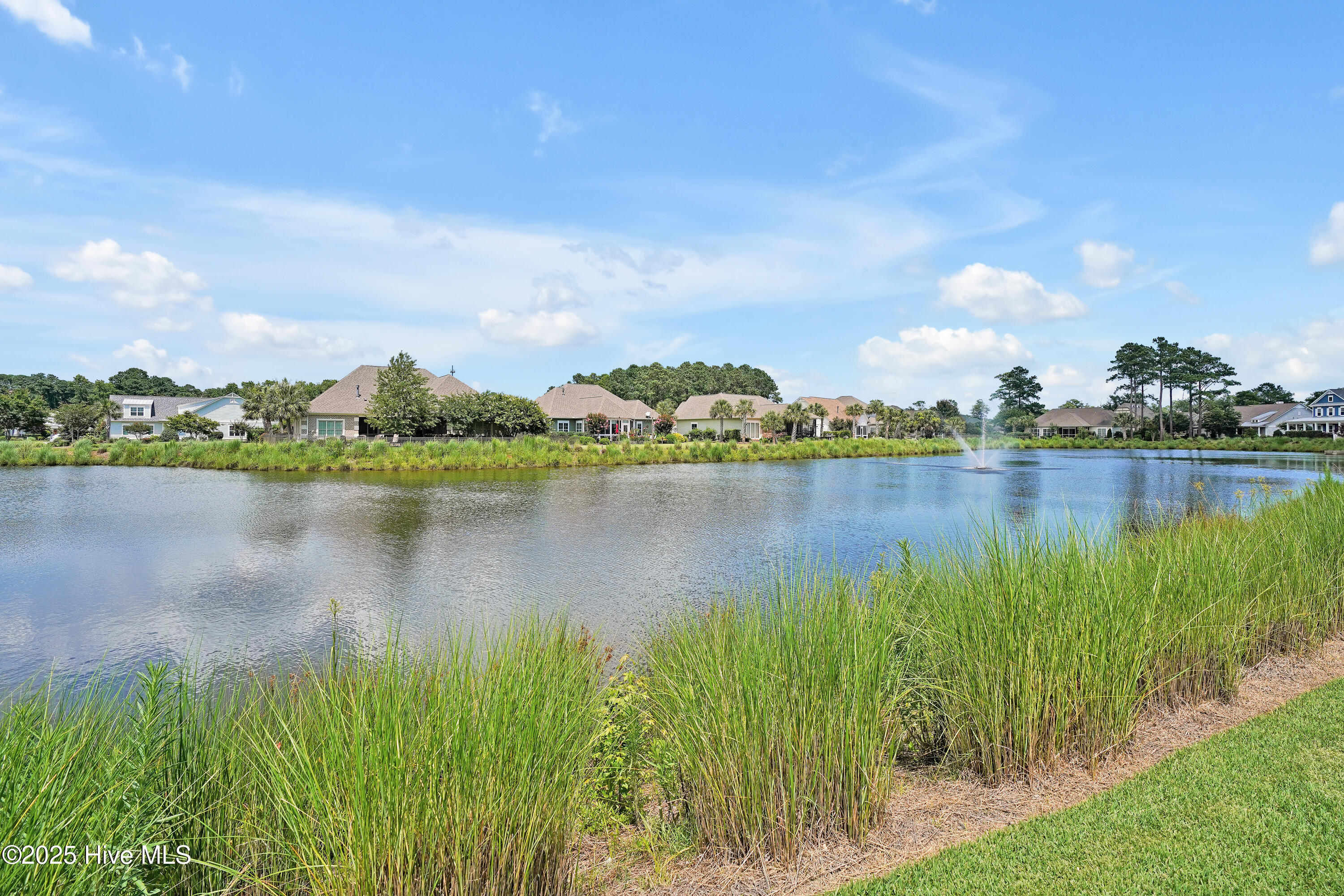 100514876 | Photo 56