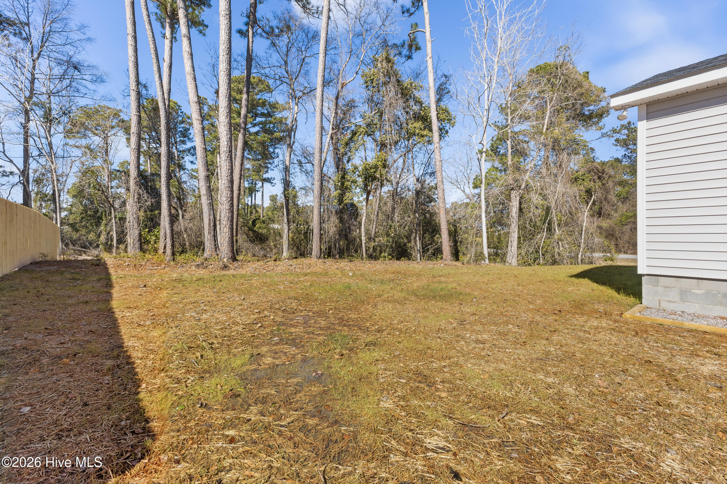 100557700 | Photo 39