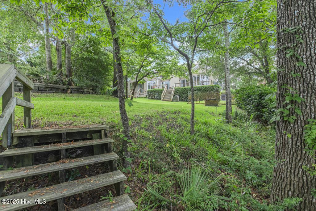 100530645 | Photo 37