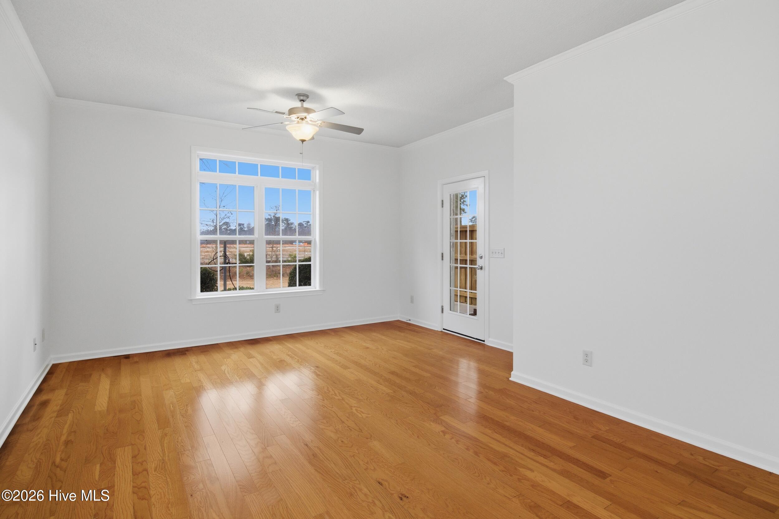 100554409 | Photo 18