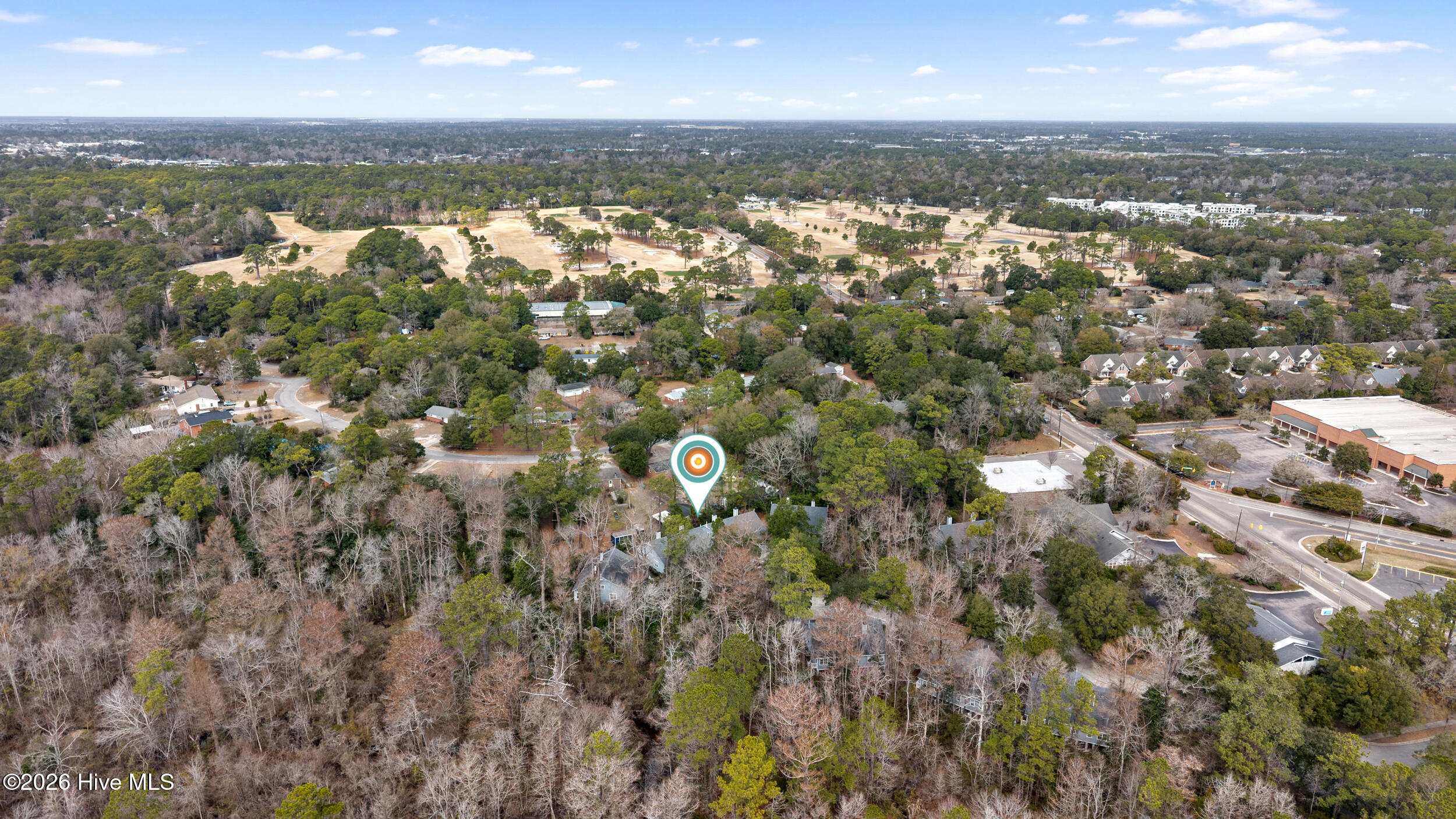 100554521 | Photo 37