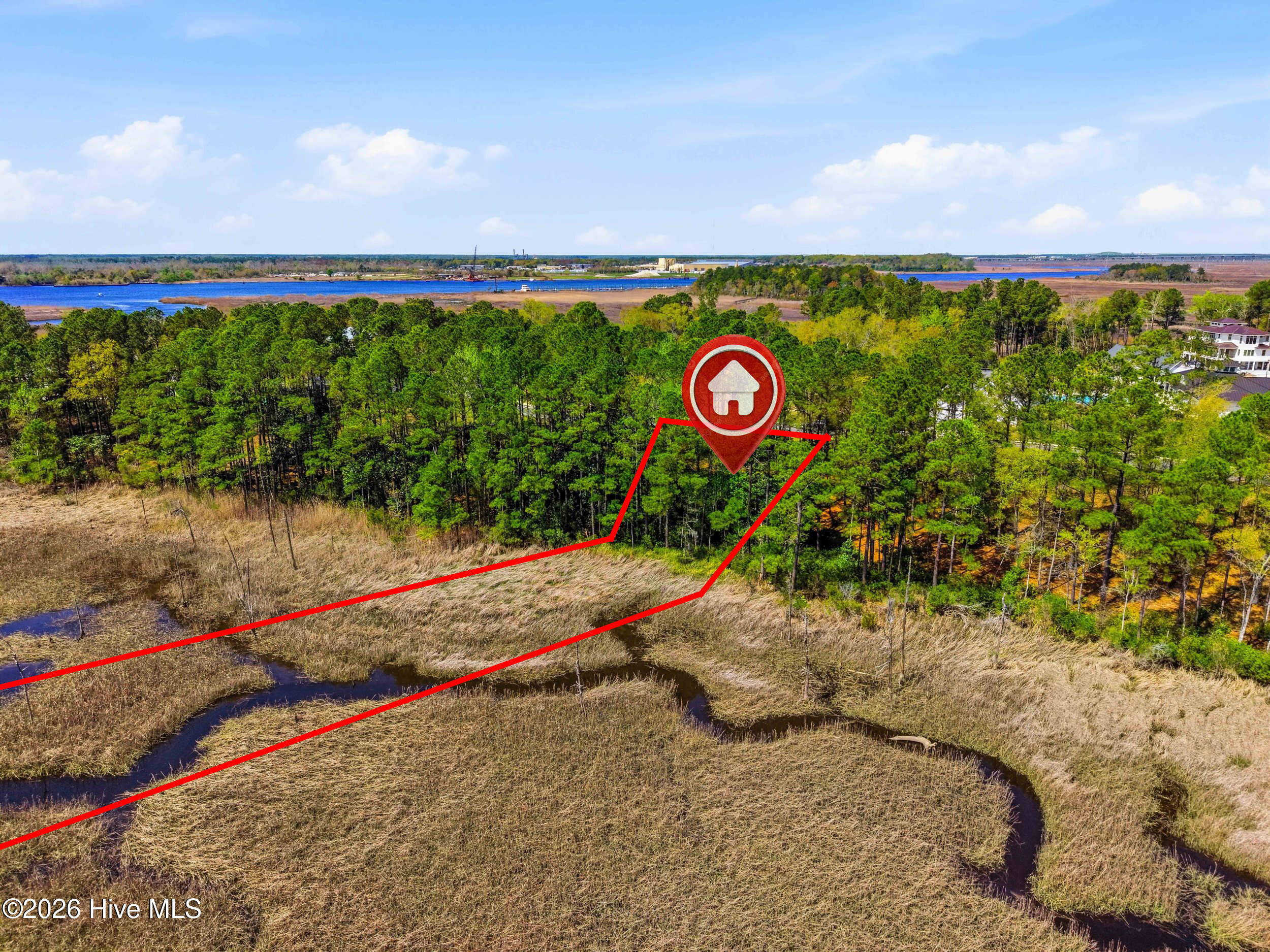 100562614 | Photo 10