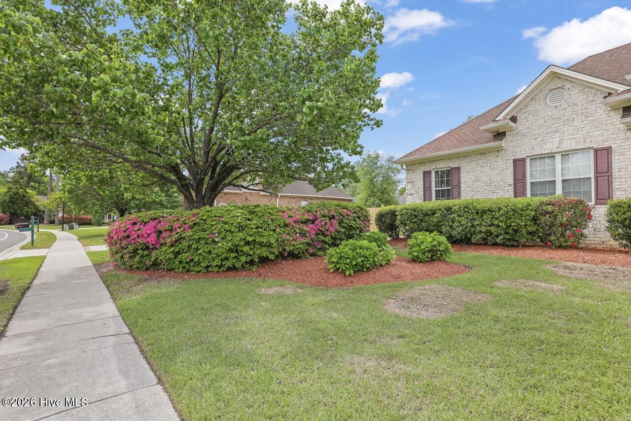 100554989 | Photo 72