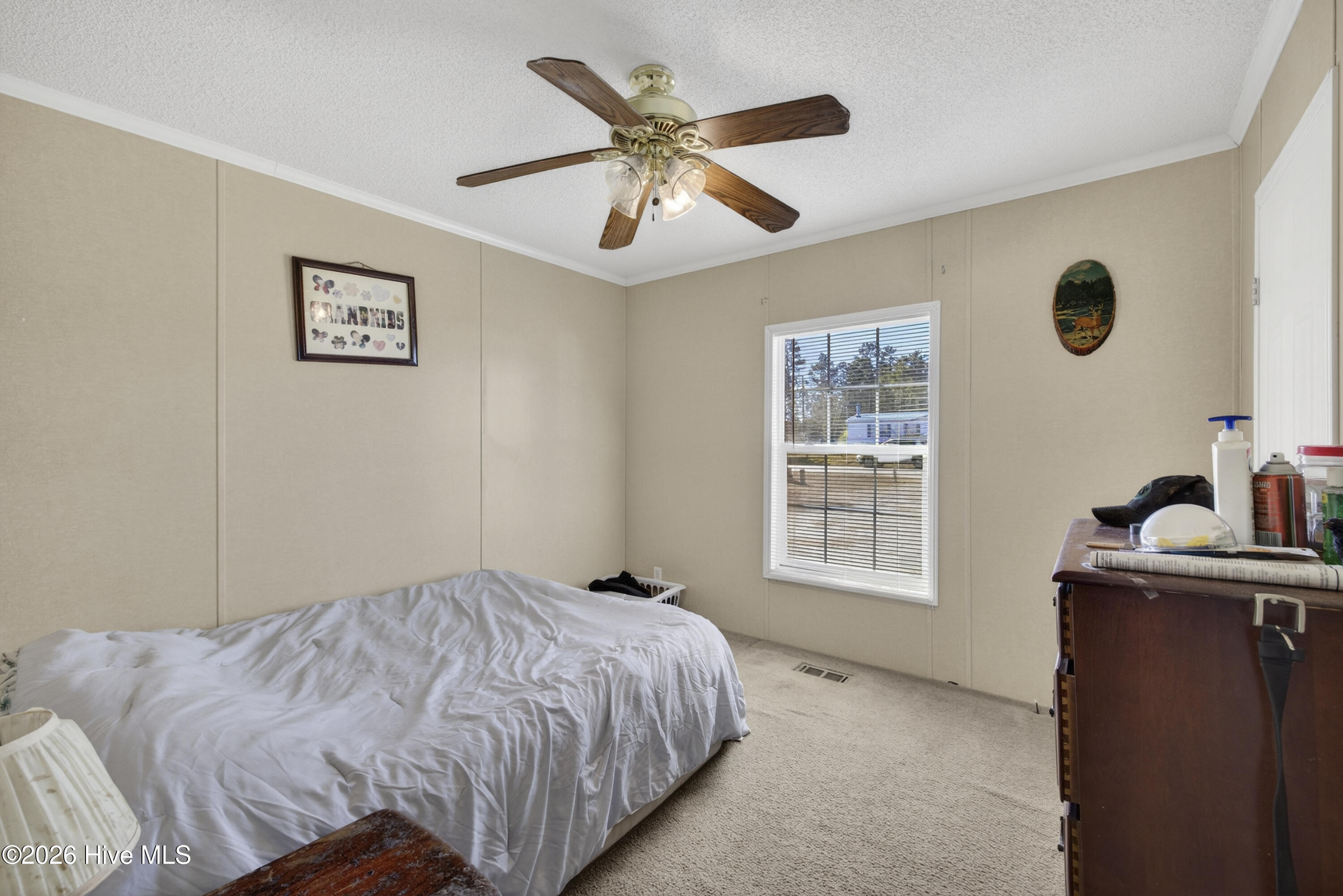 100553499 | Photo 23