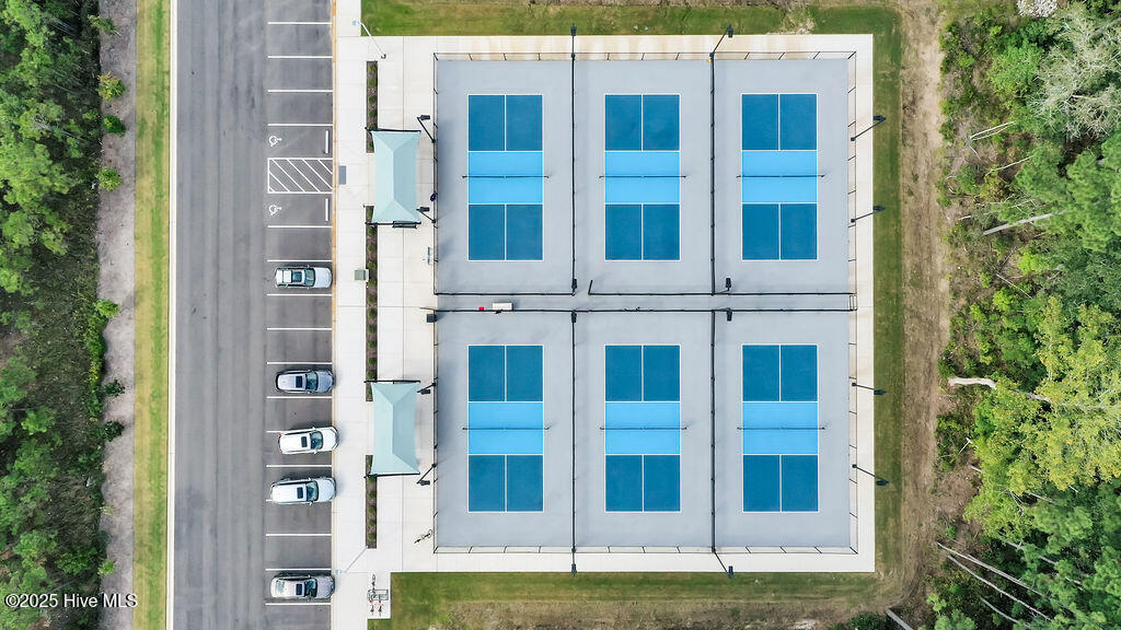 100535984 | Photo 95