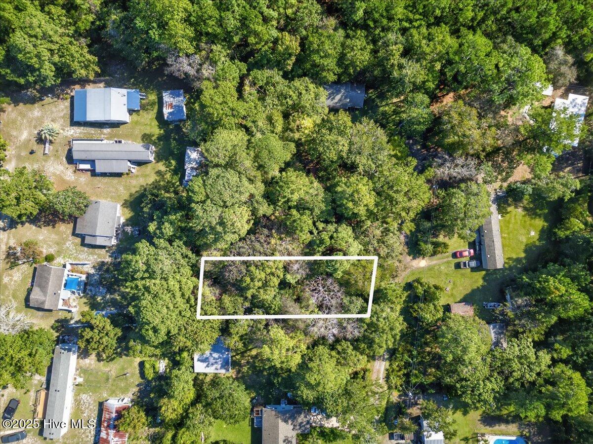 100536170 | Photo 11