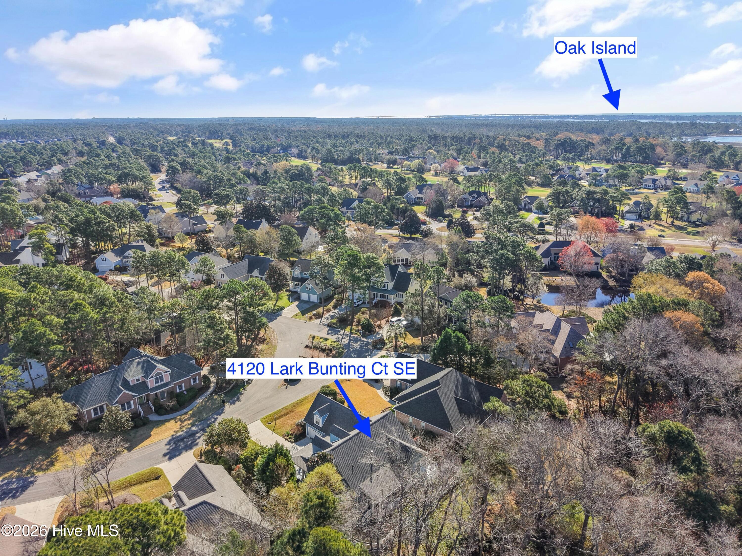 100561490 | Photo 54