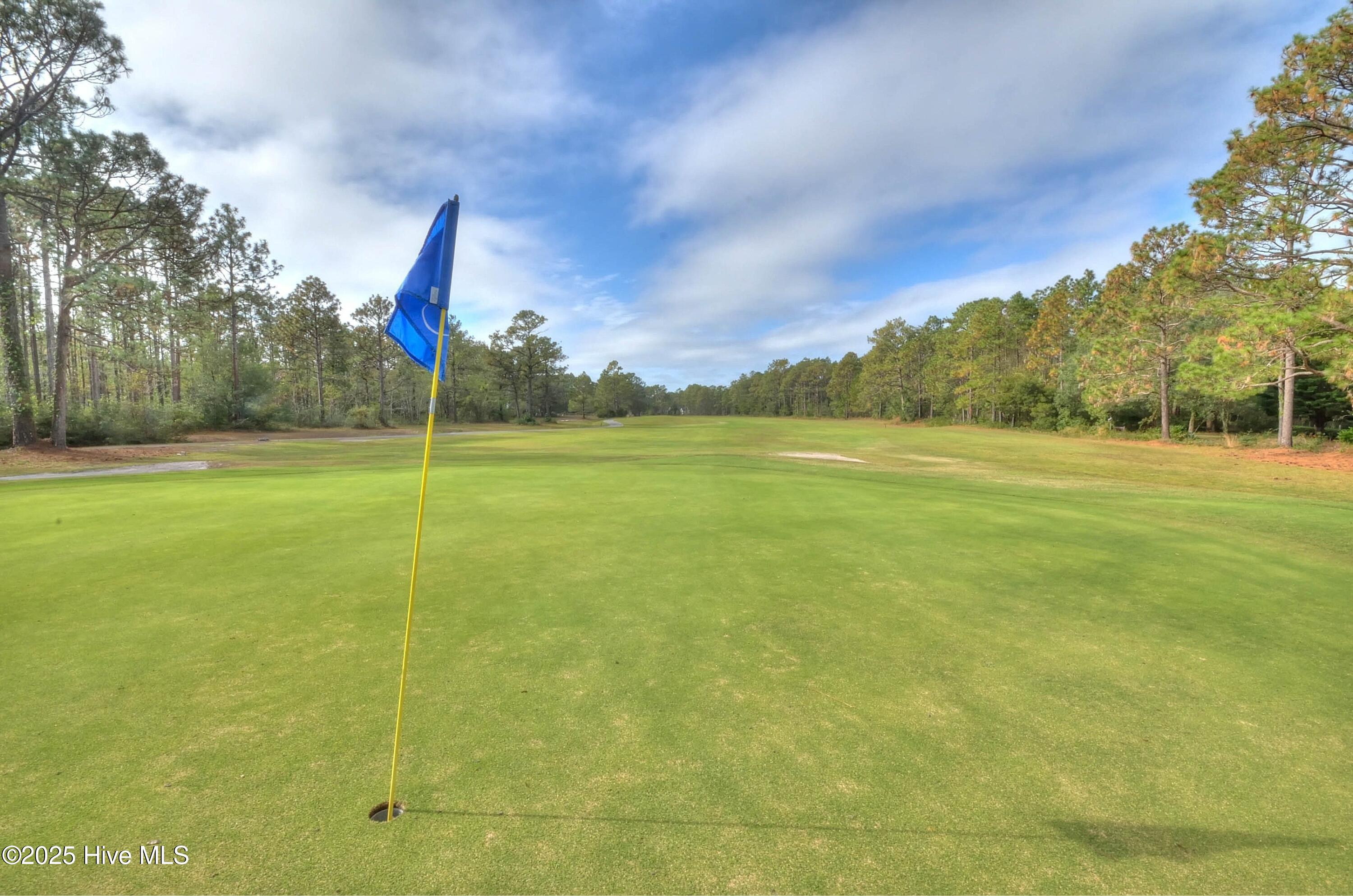 100517847 | Photo 37