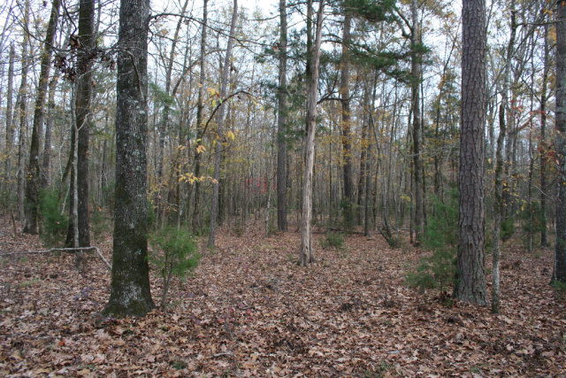 Double Branches Road, Lincolnton, GA 30817 Listing Photo  15