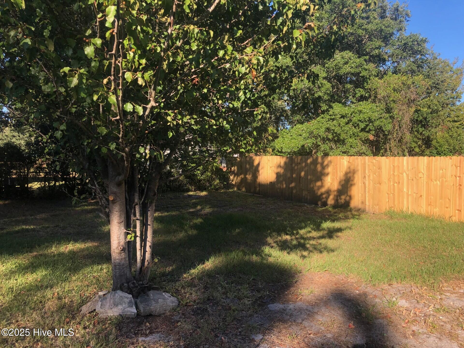 100533796 | Photo 41