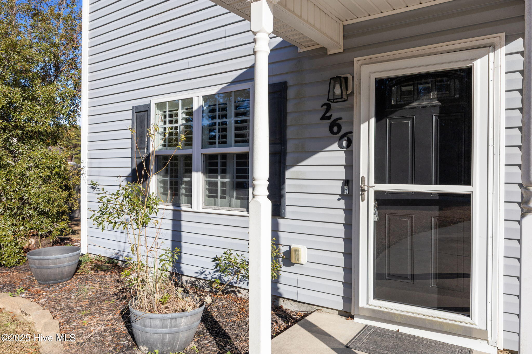 100546032 | Photo 38