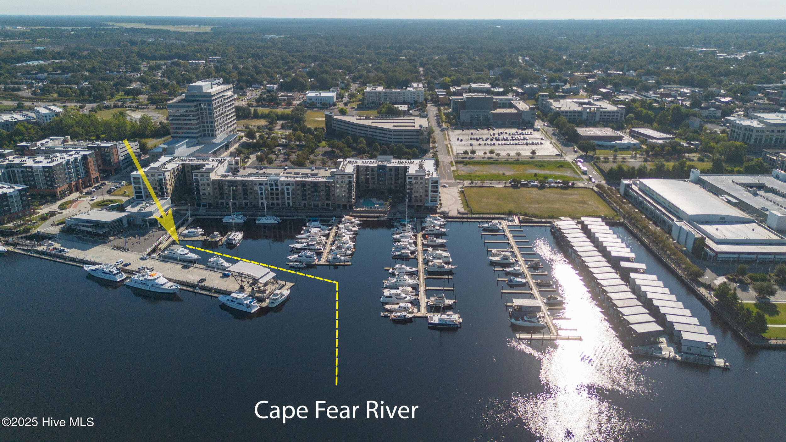 100529429 | Photo 18