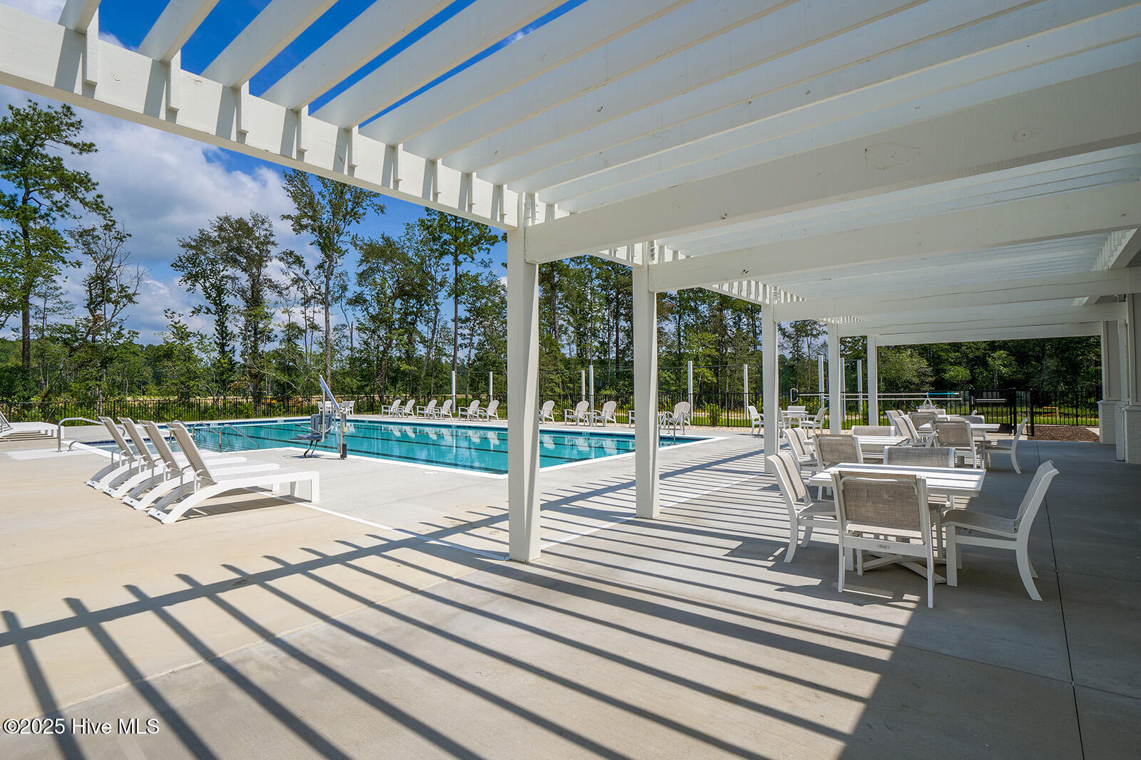 100559061 | Photo 44