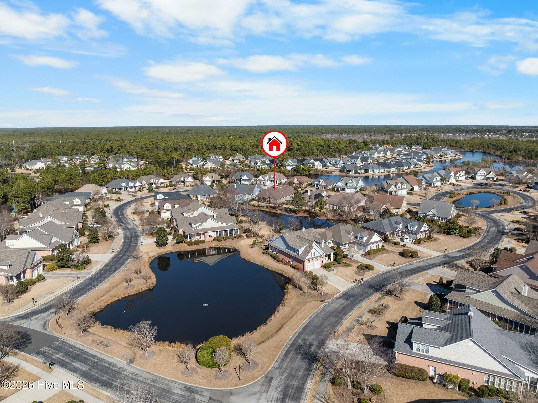 100564801 | Photo 47