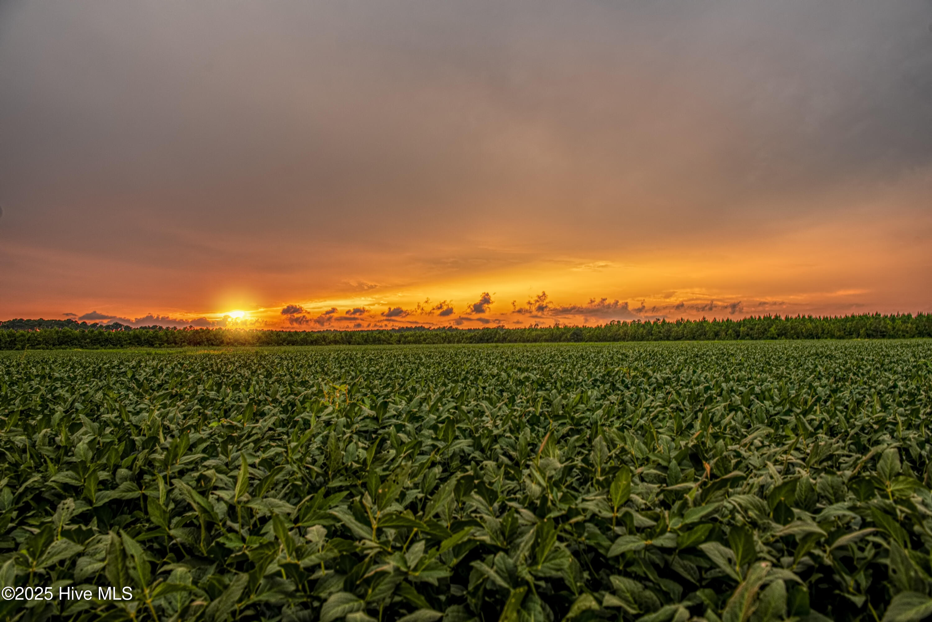 114 Goodwinds Drive, Oriental, NC, 28571