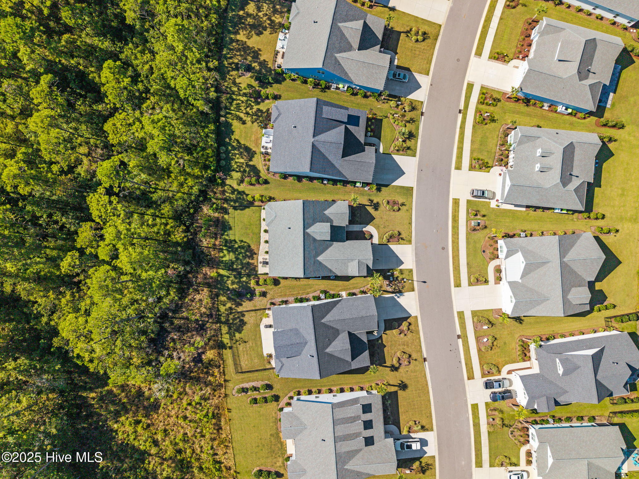 100534484 | Photo 69