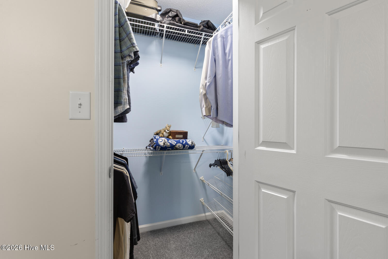 100568558 | Photo 18