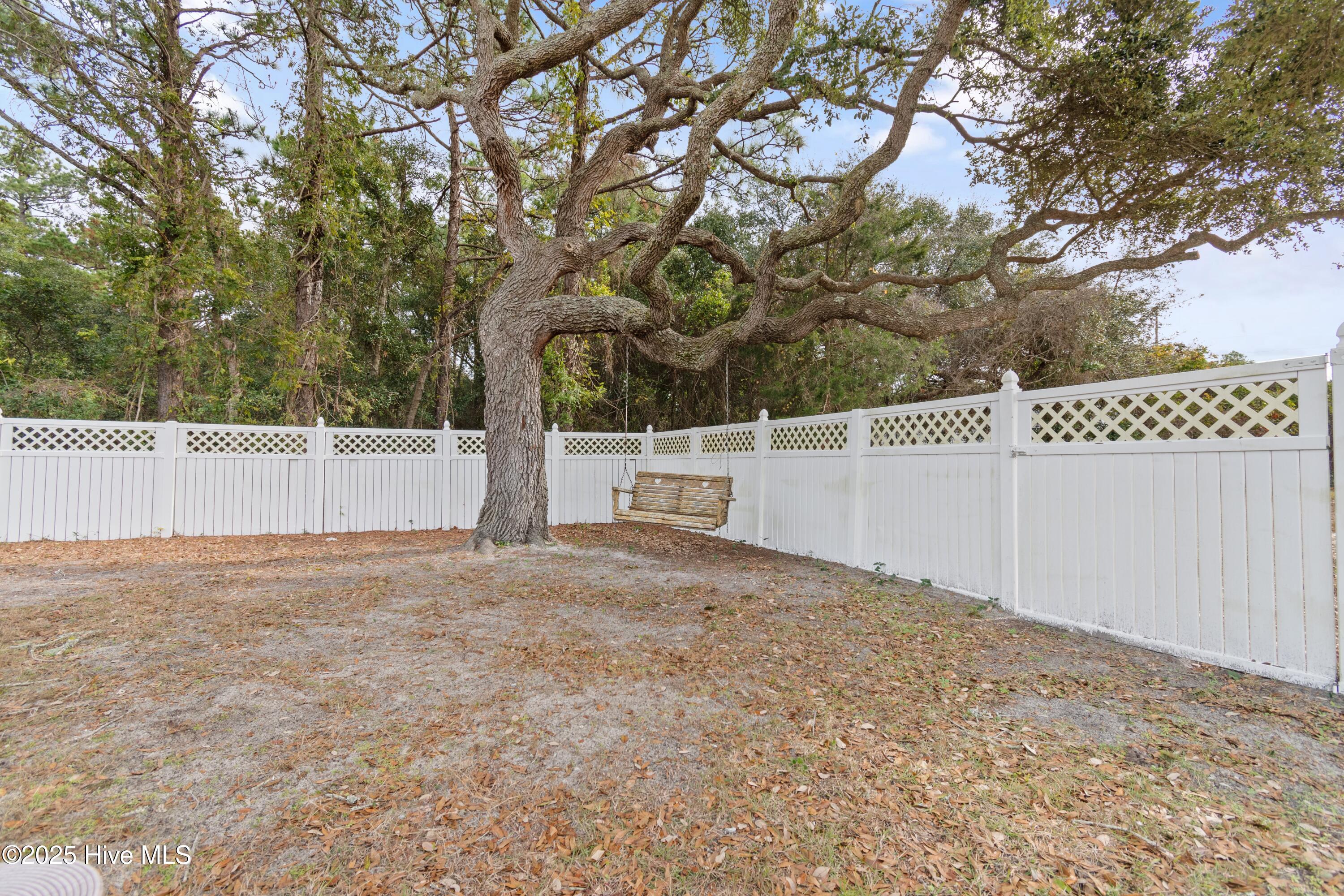 100542412 | Photo 41