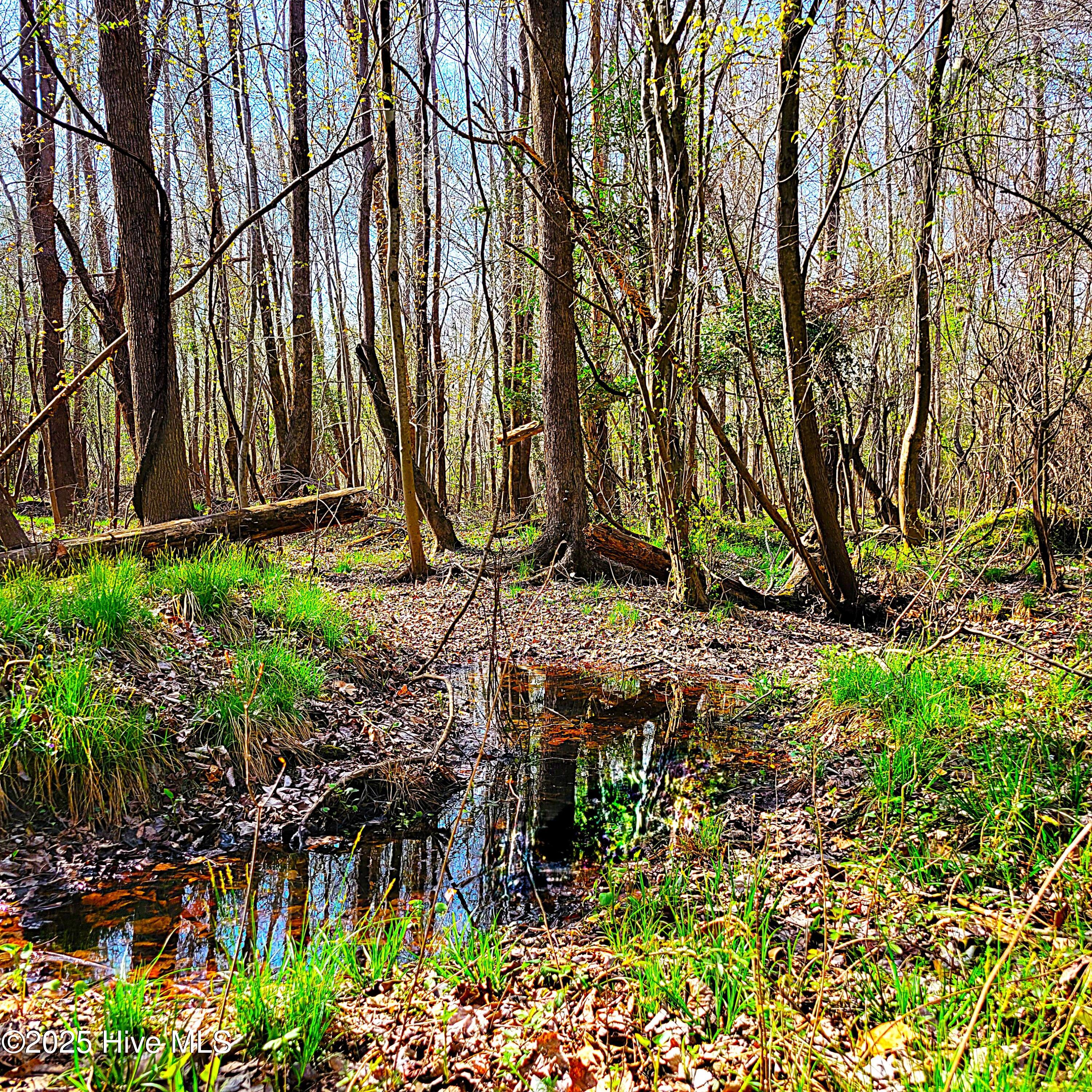 100496184 | Photo 28