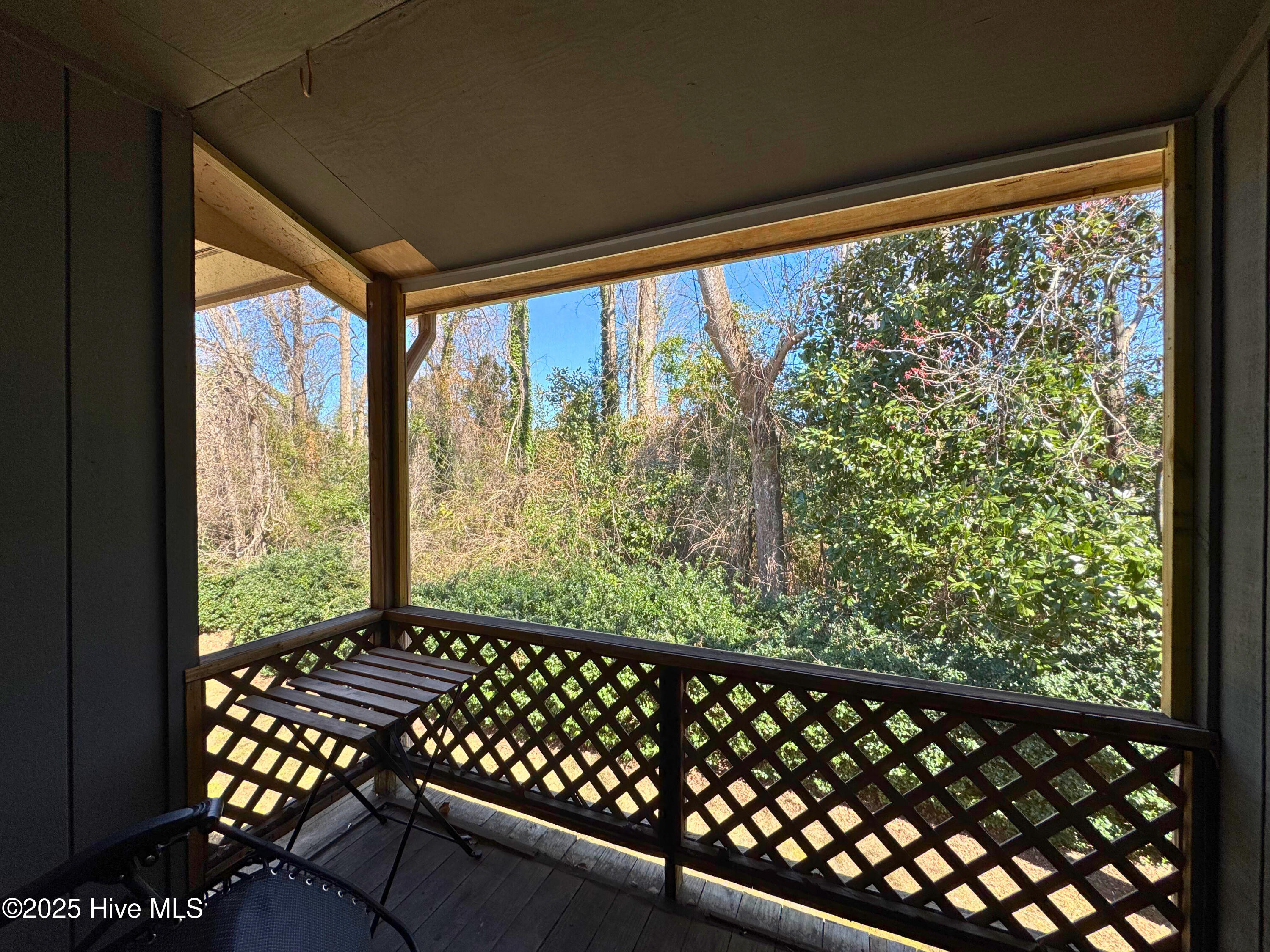 100554226 | Photo 15