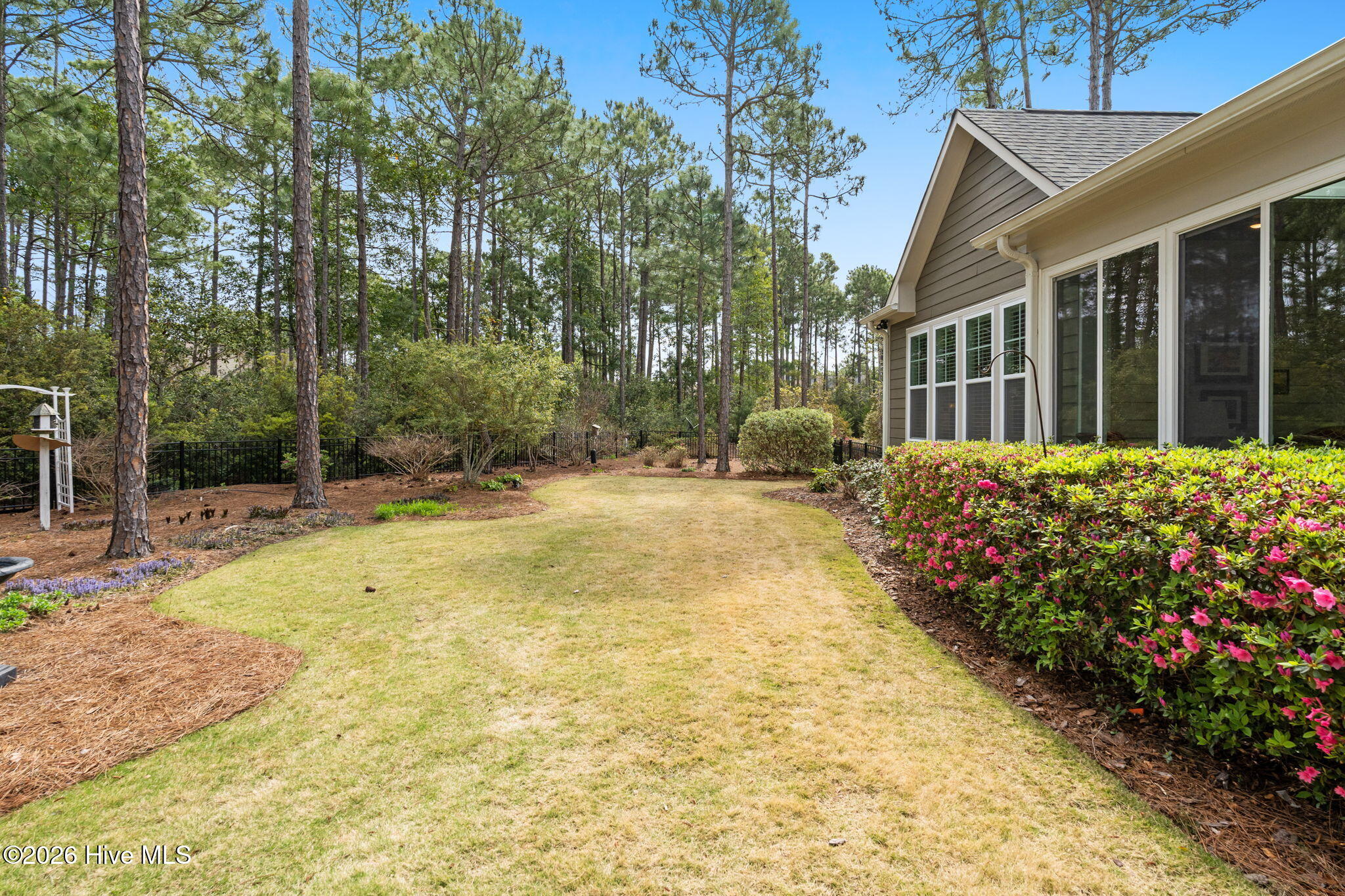 100566382 | Photo 56