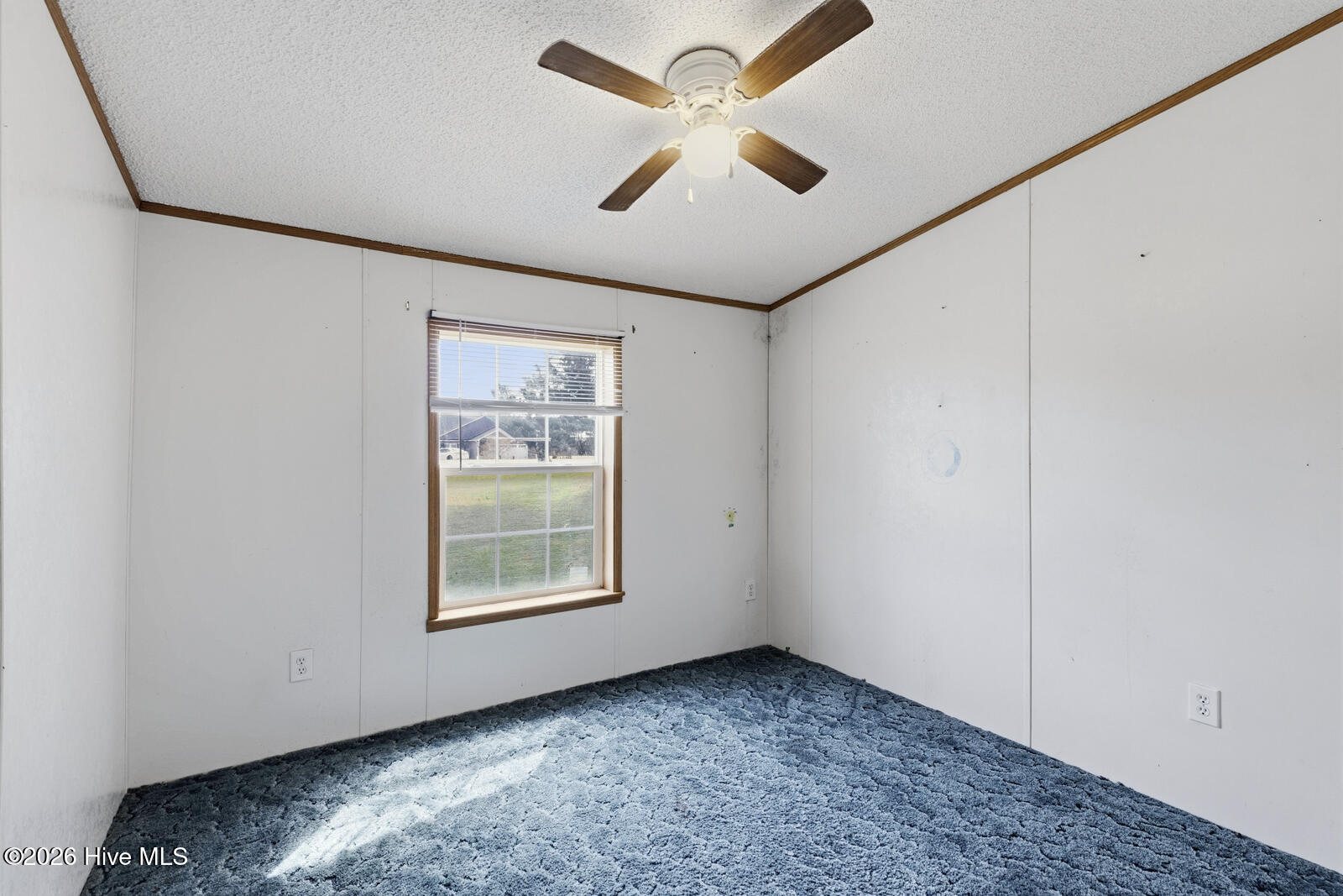 100561628 | Photo 22