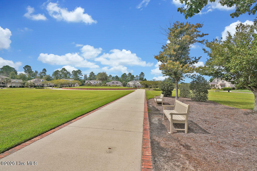 100565235 | Photo 164