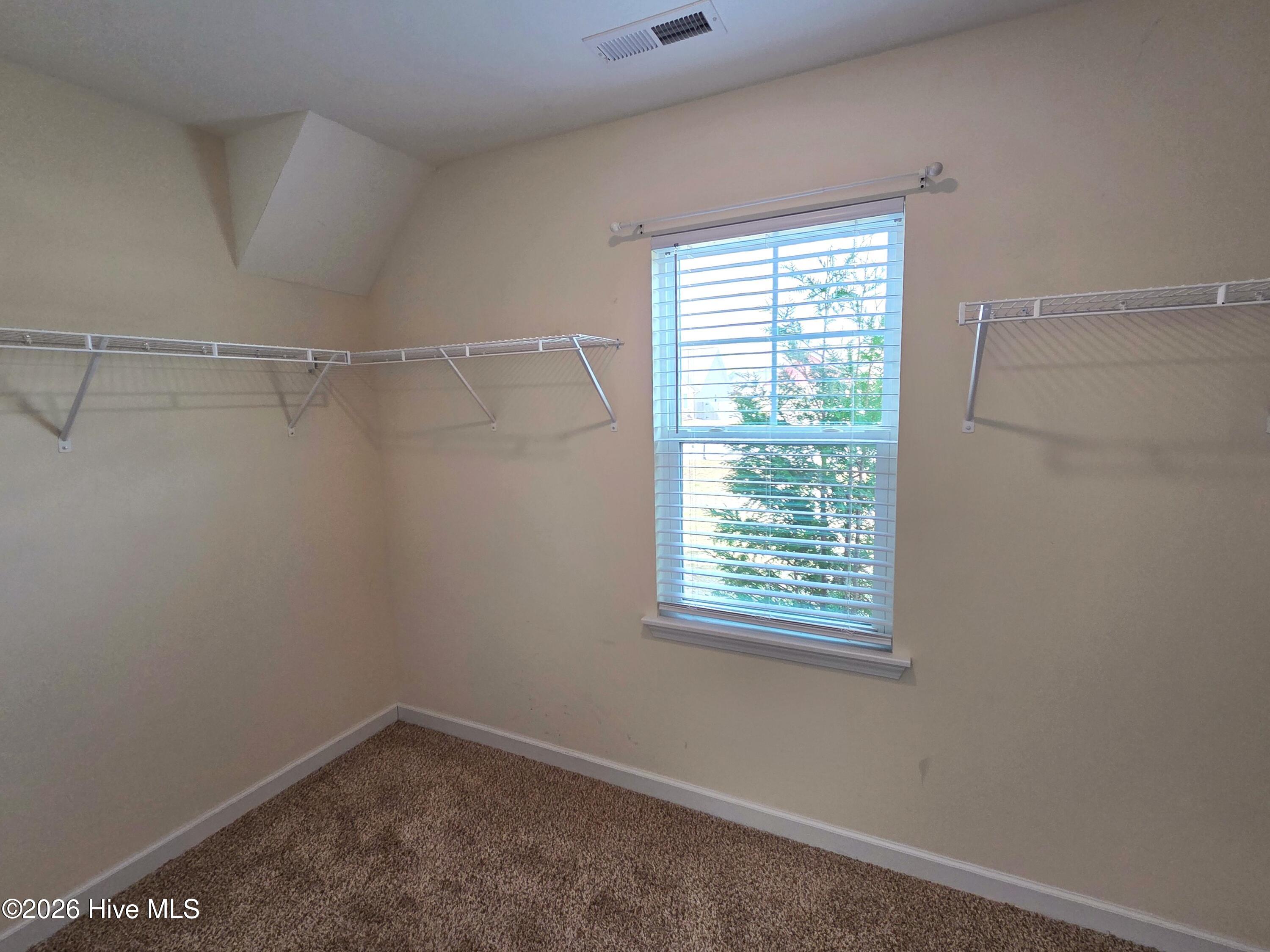 100527843 | Photo 41