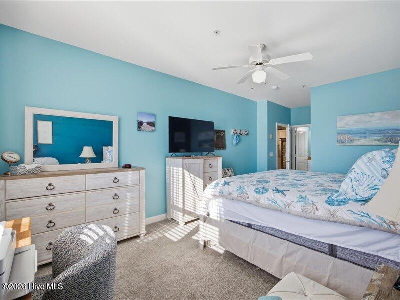 100549791 | Photo 16