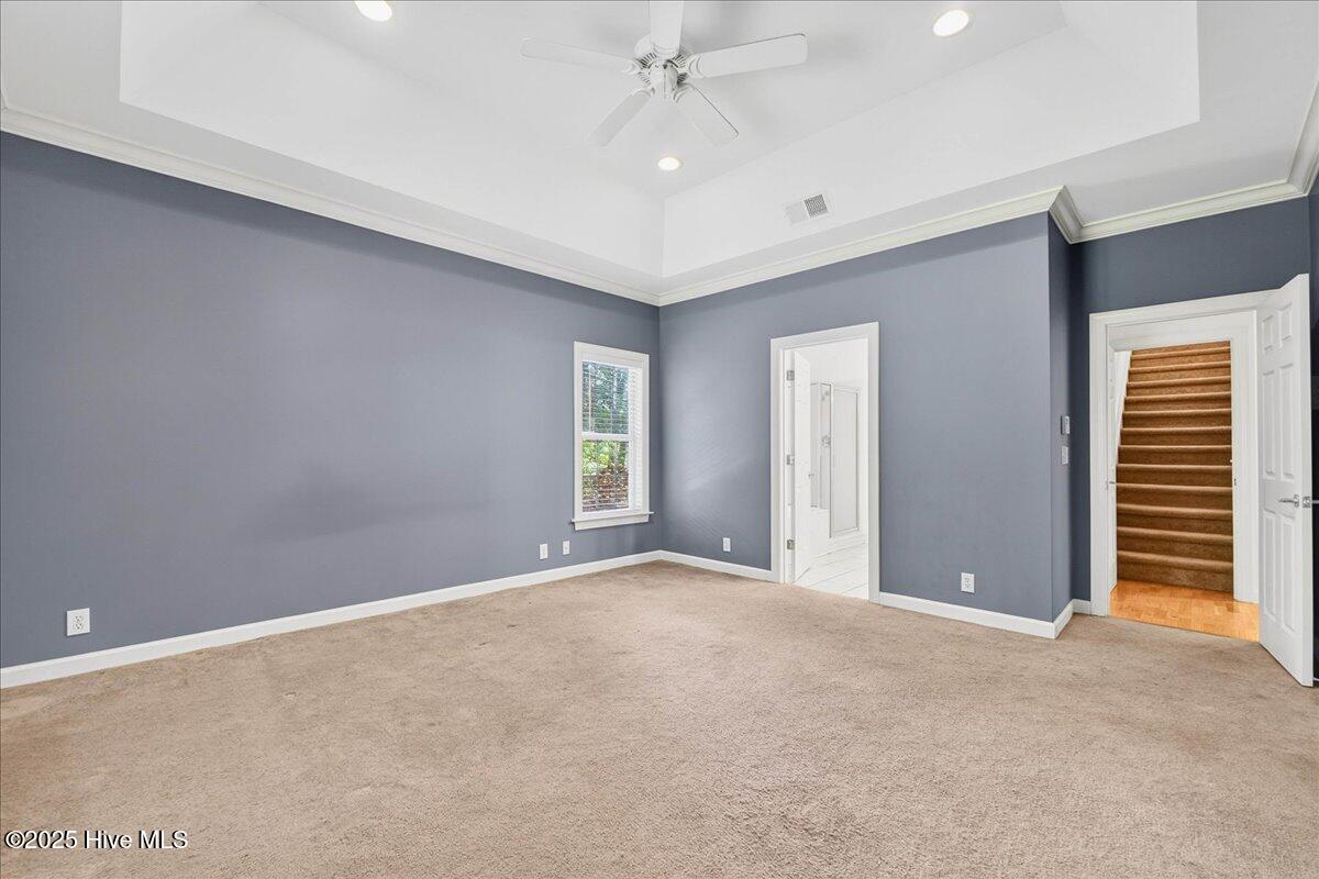 100519877 | Photo 24