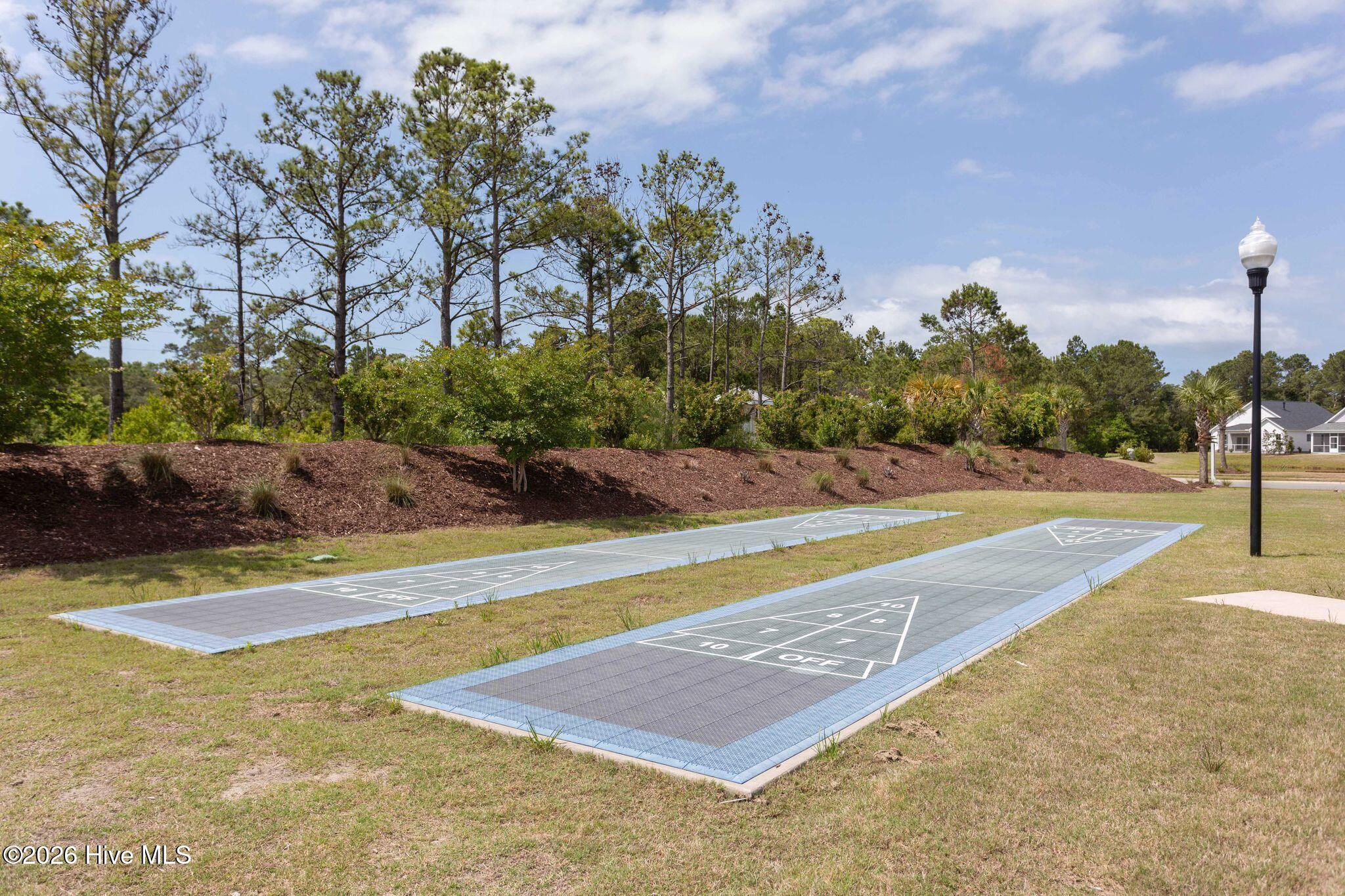 100563087 | Photo 46