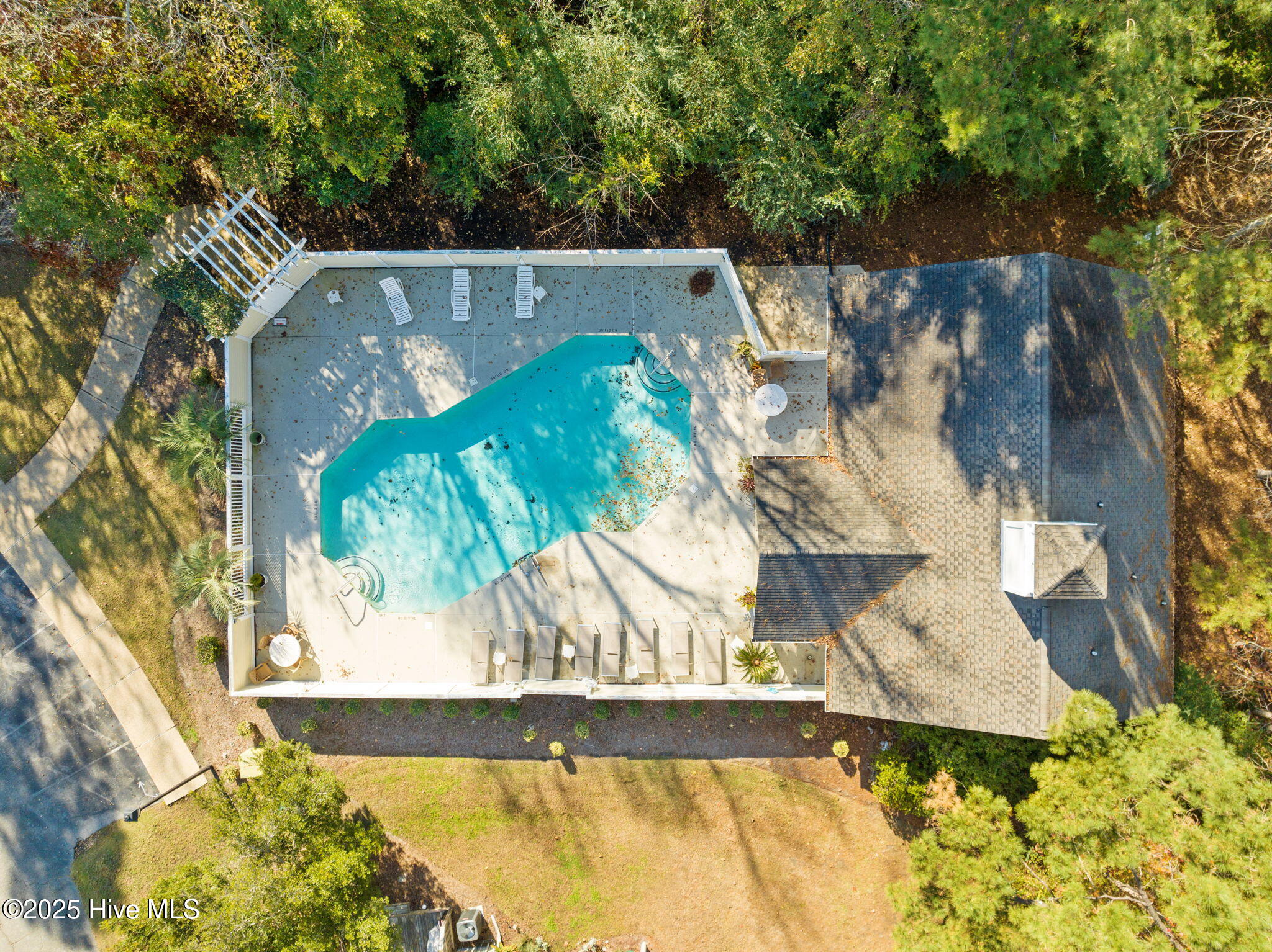 100546041 | Photo 42