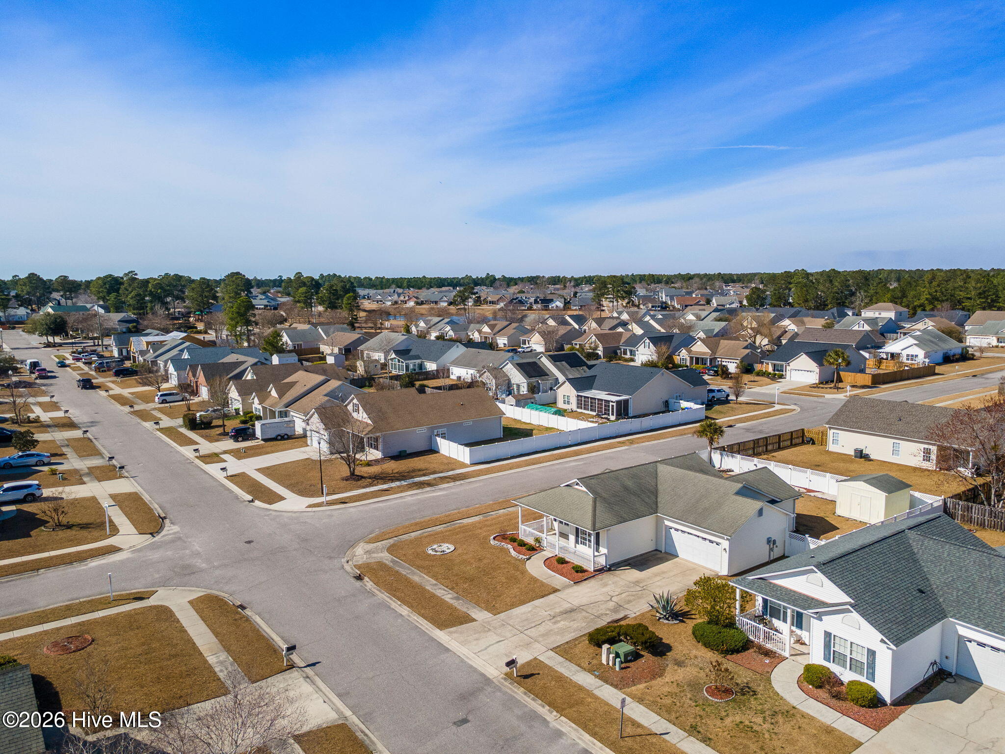 100556547 | Photo 46